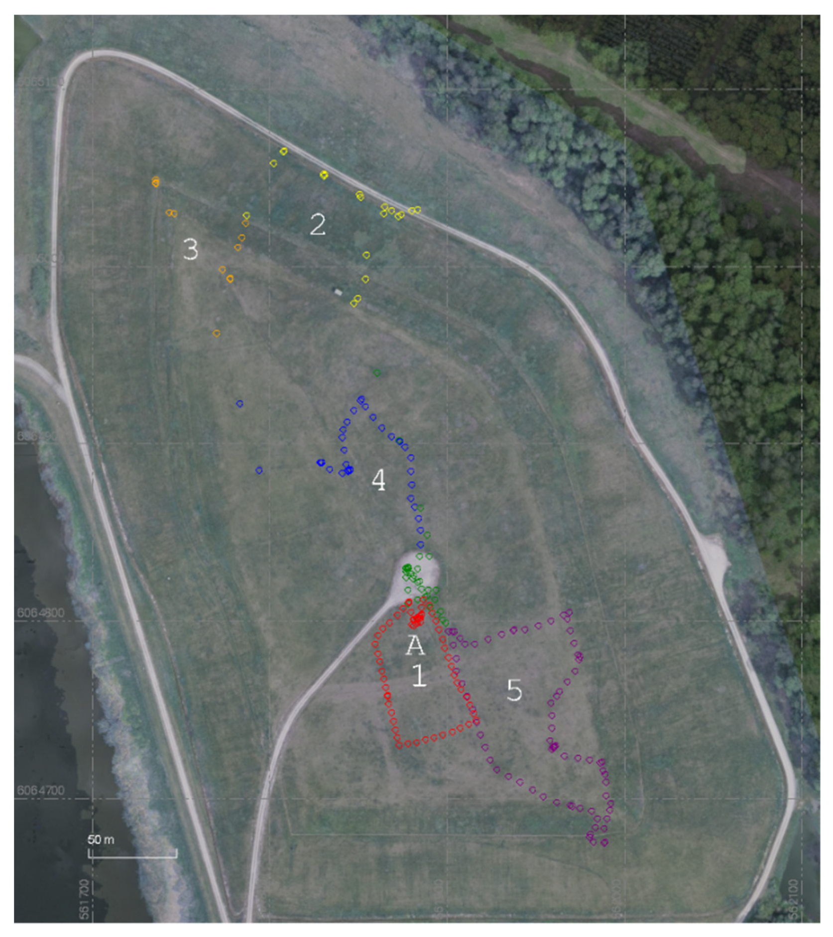 Energies 14 03967 g010