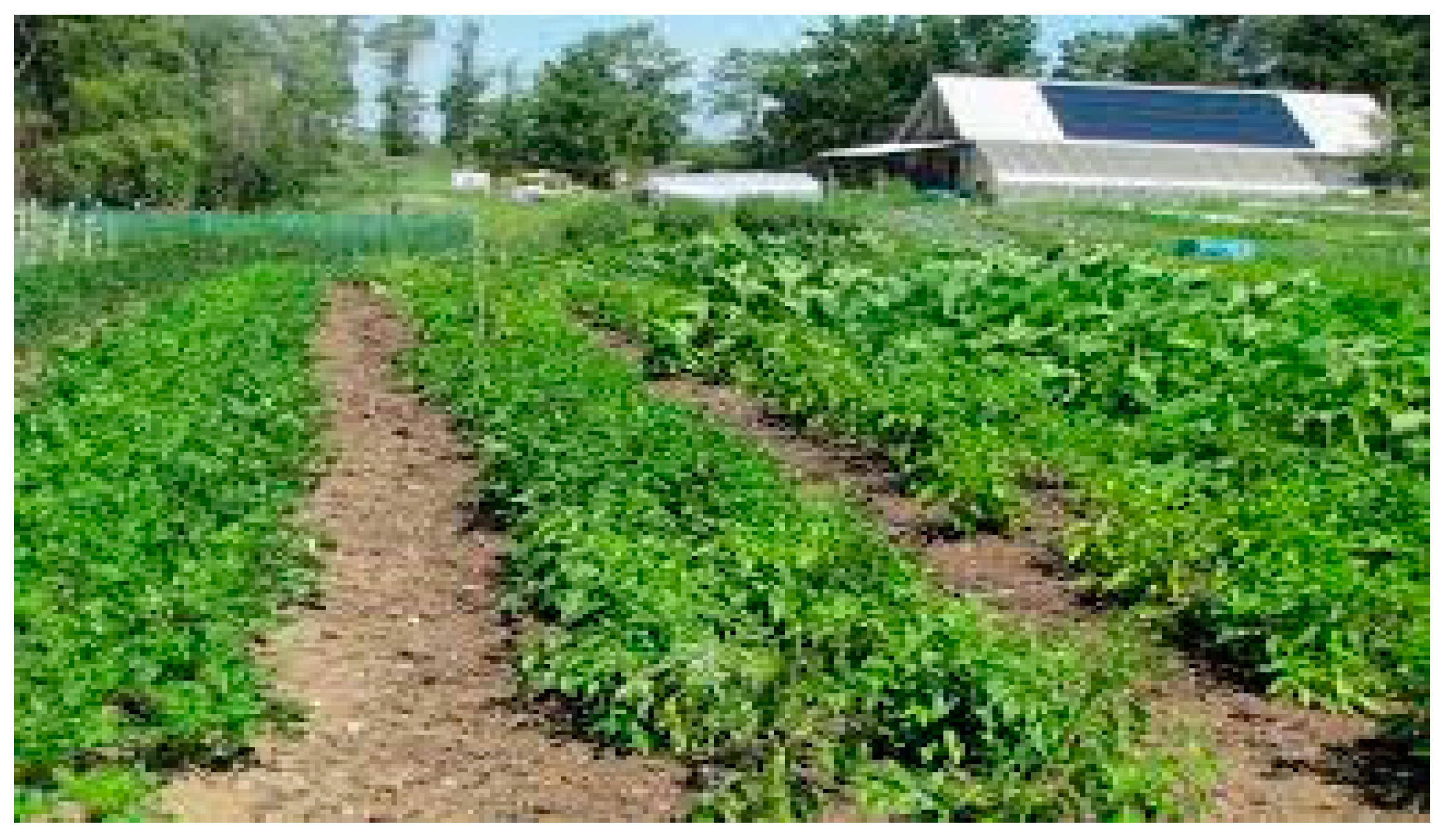 Energies 14 04281 g002