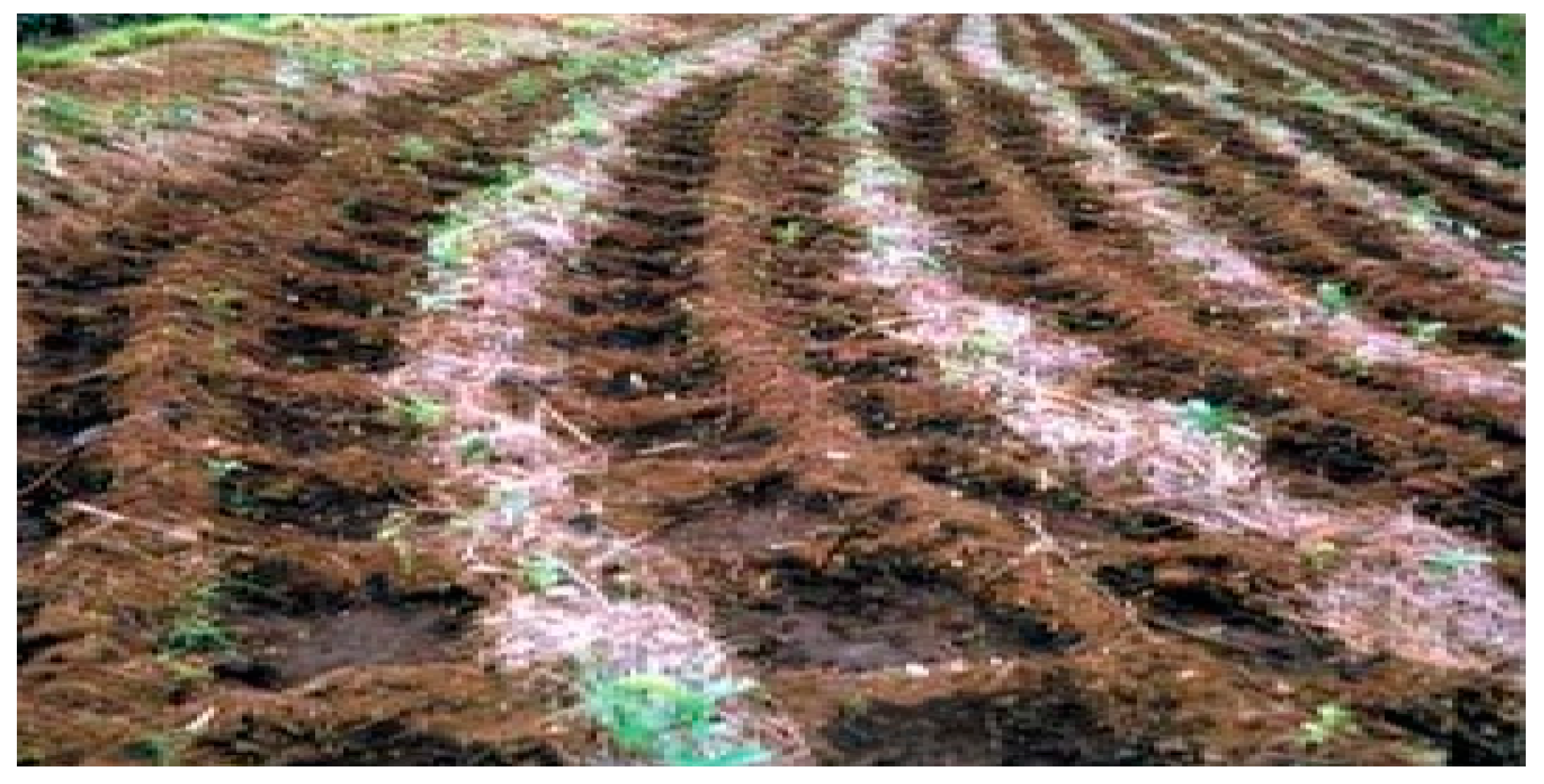 Energies 14 04281 g003