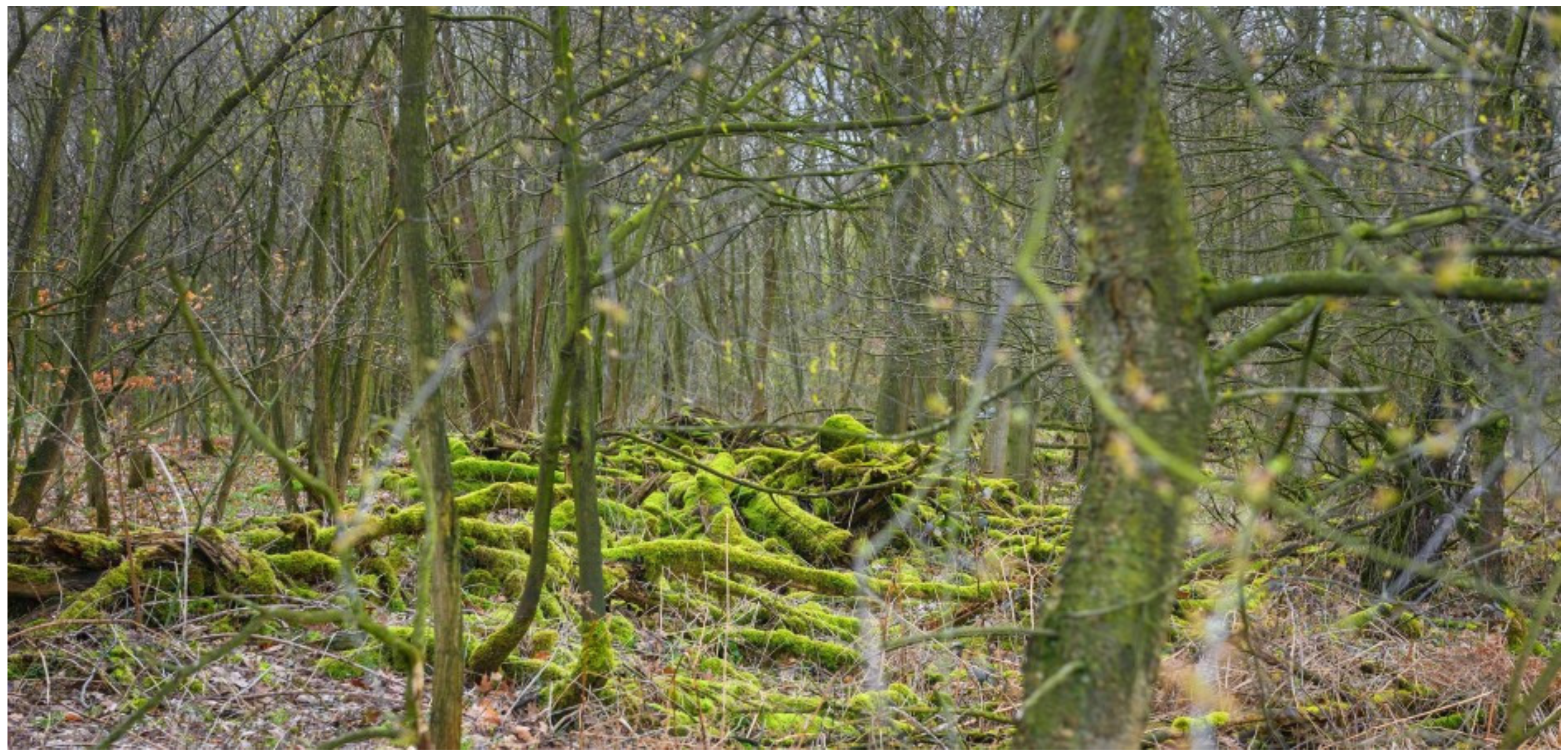 Energies 14 04488 g012