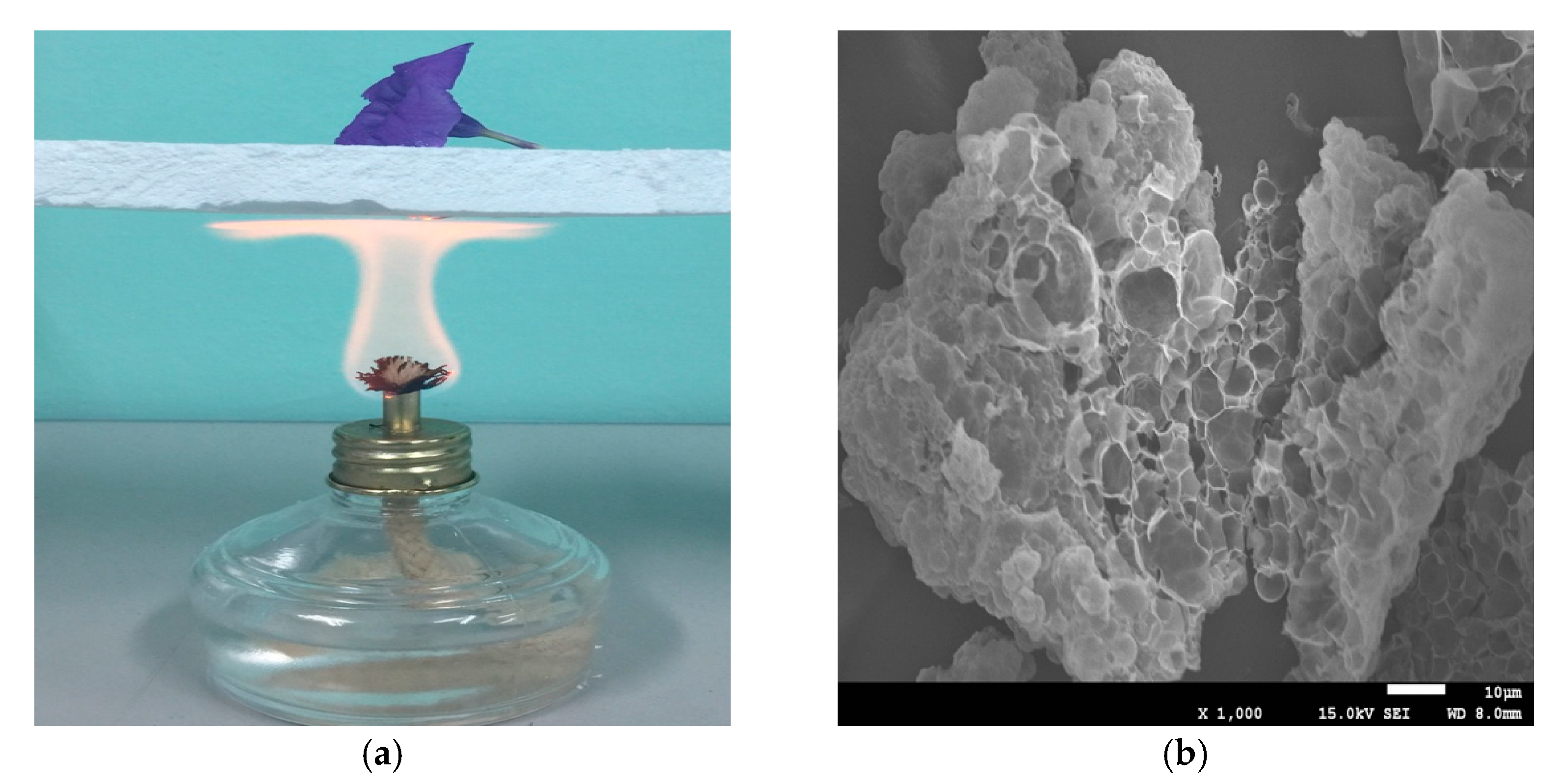 Energies 14 04518 g002