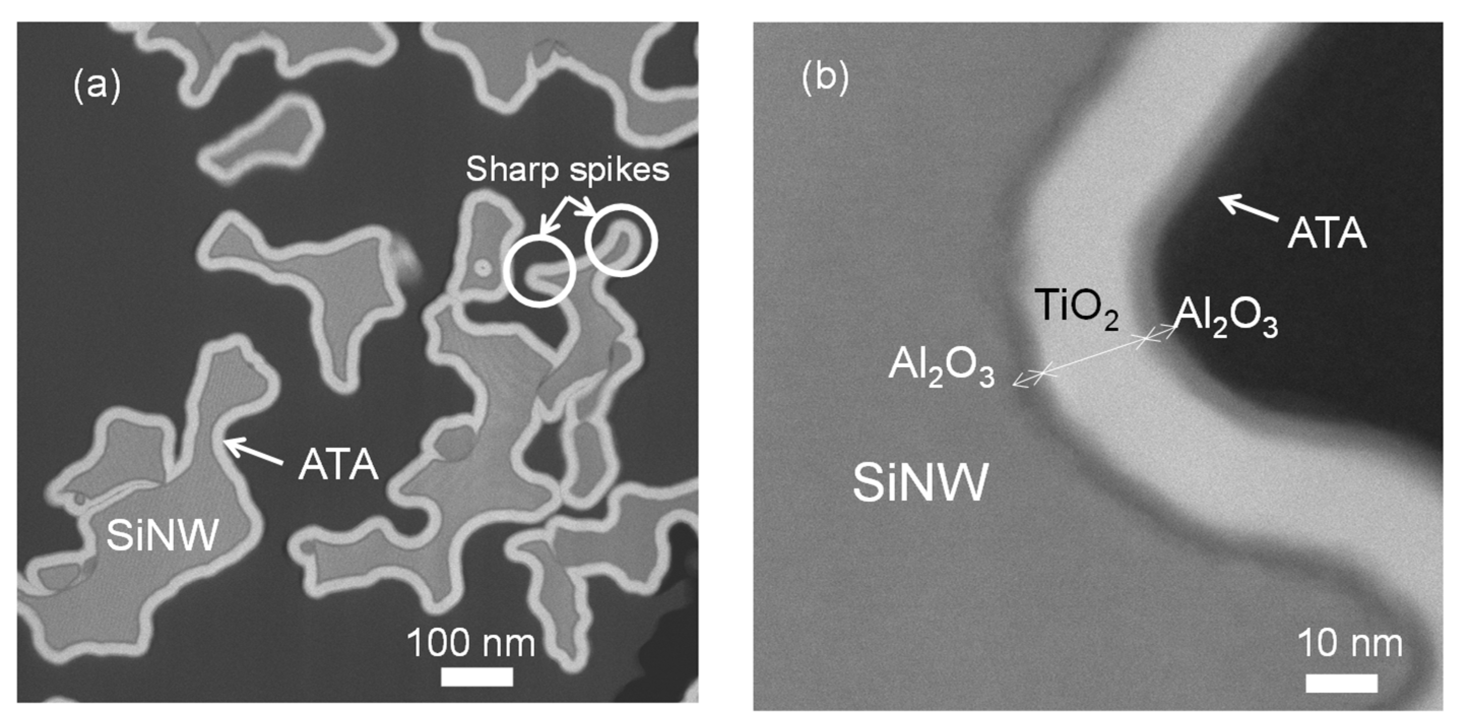 Energies 14 04538 g003