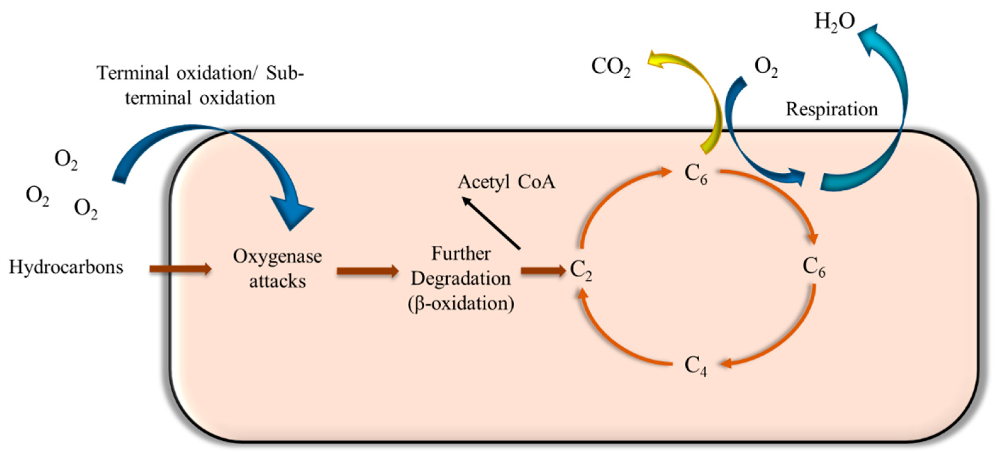 Energies 14 04684 g004 Energies 14 04684 g004