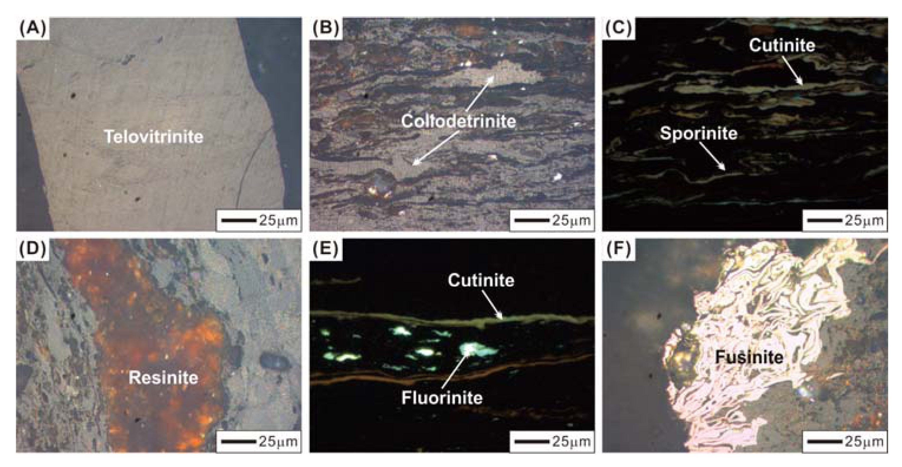 Energies 14 04704 g004