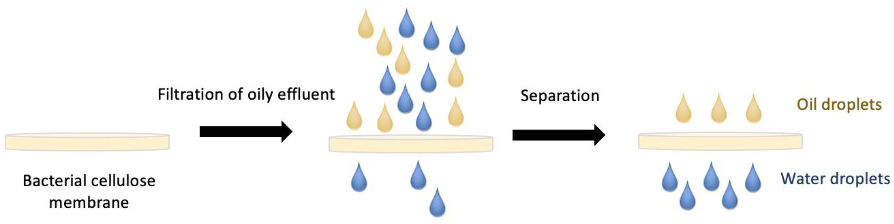Energies 14 05066 g006