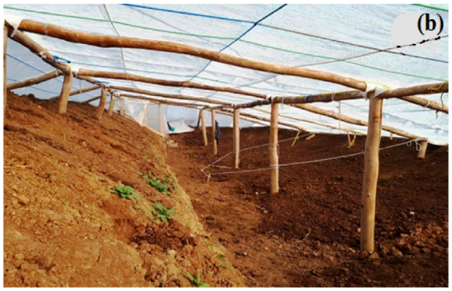 Energies 14 05369 g006b Energies 14 05369 g006b