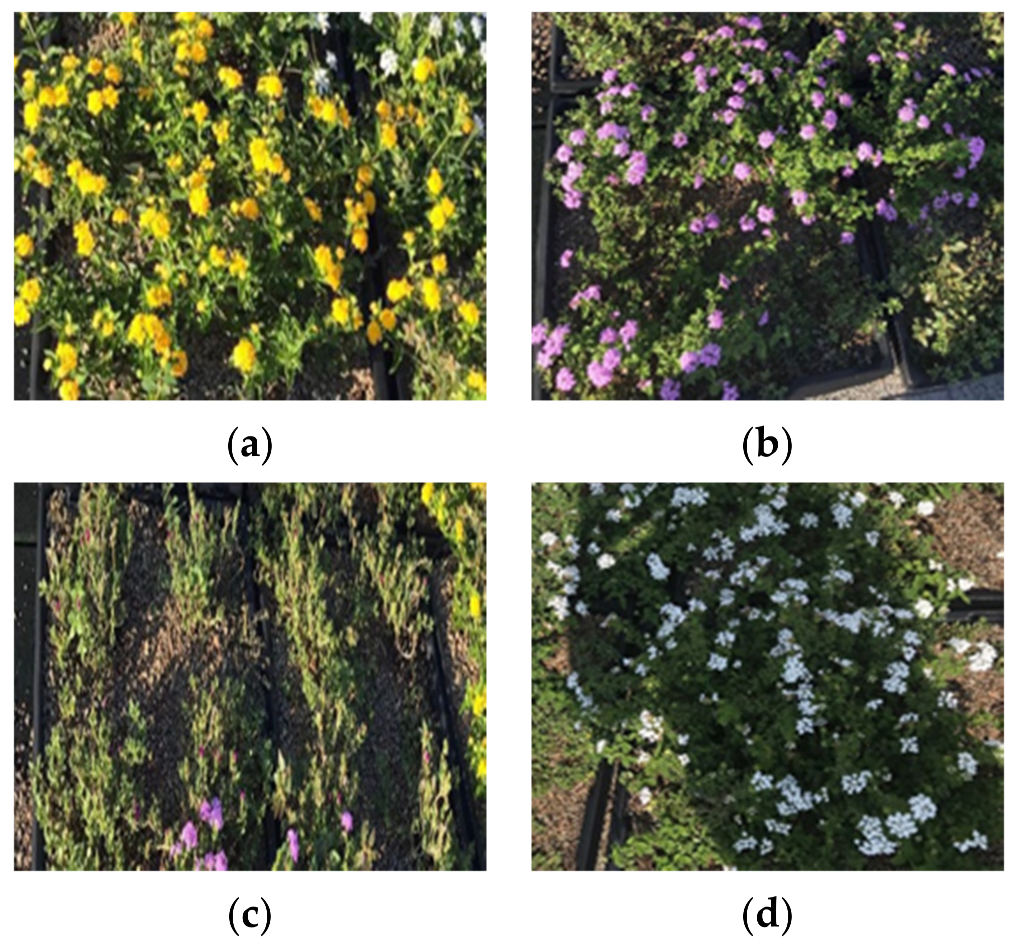 Energies 14 05443 g002