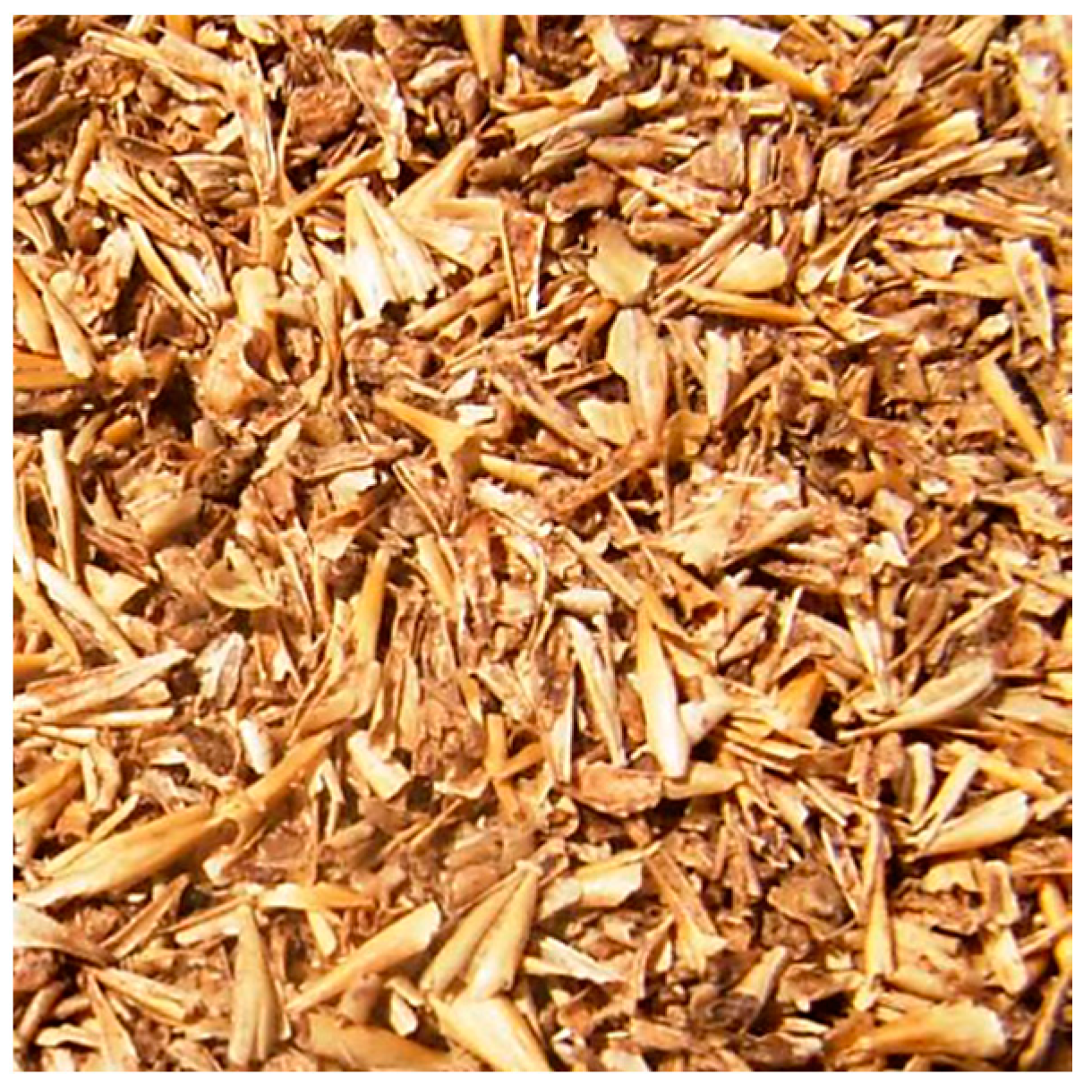 Energies 14 05543 g001