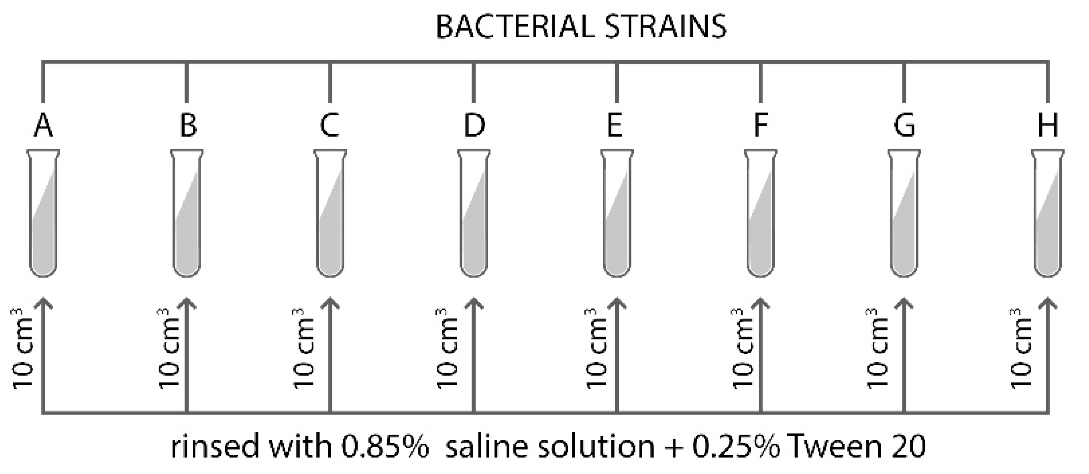 Energies 14 05601 g001