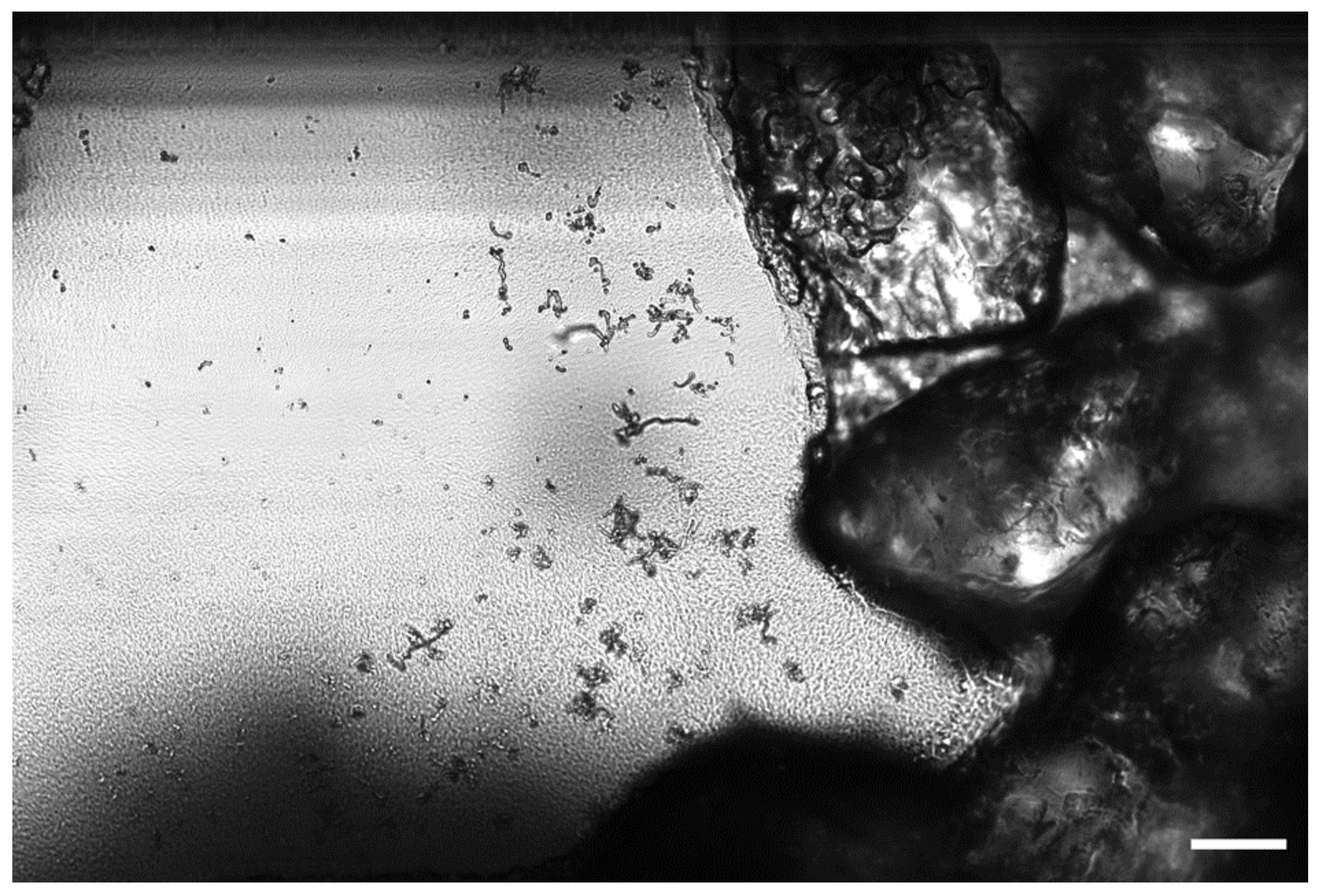 Energies 14 05672 g005