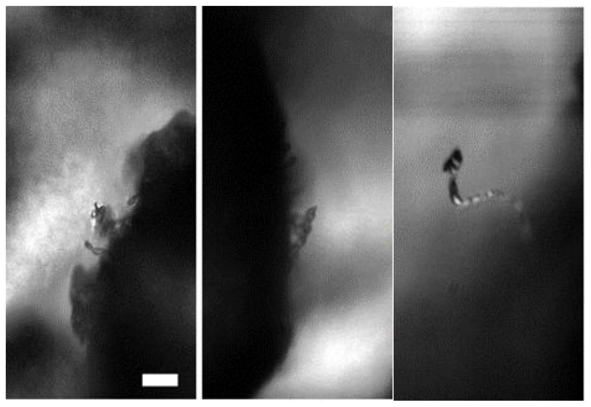 Energies 14 05672 g007