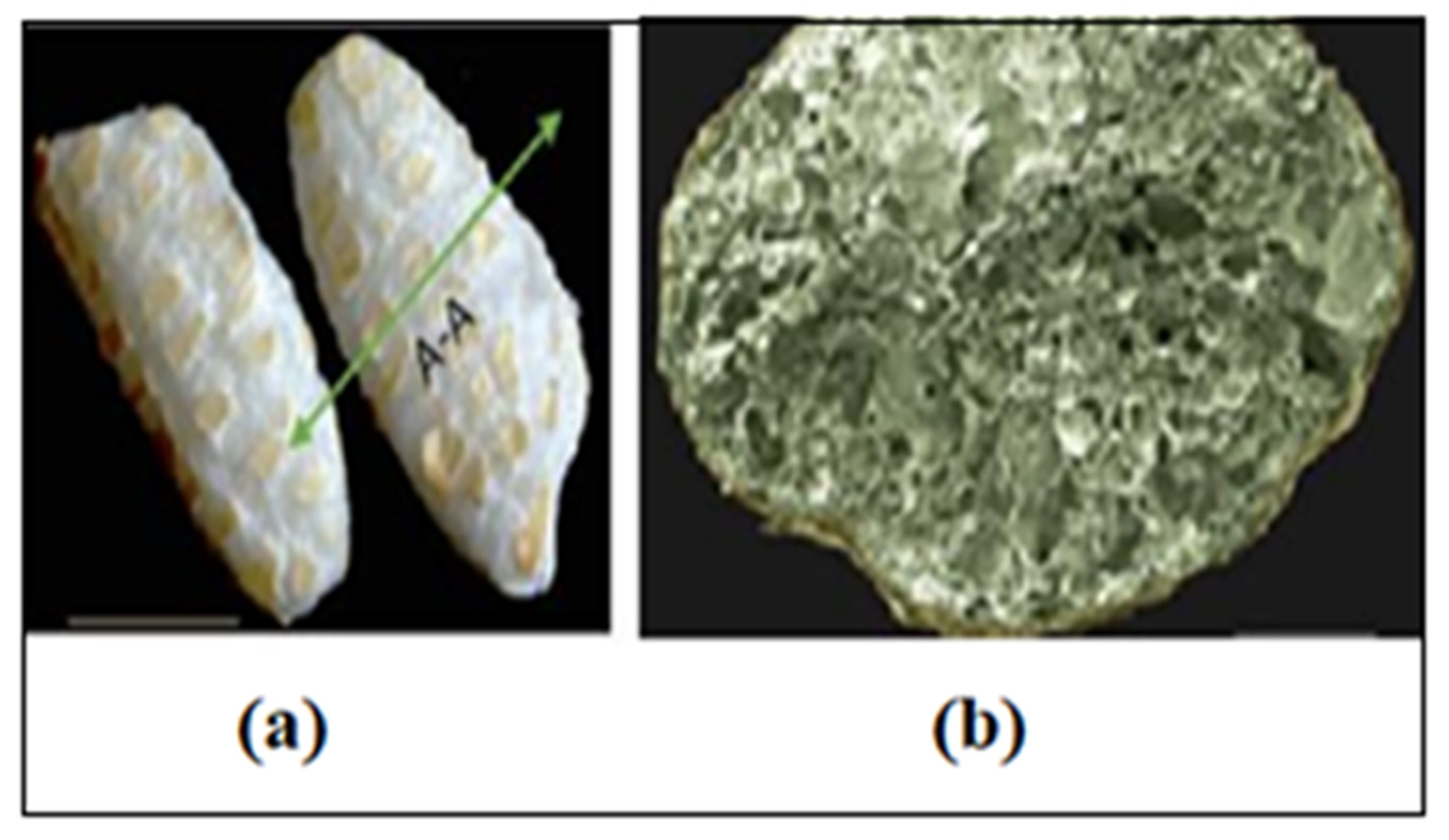 Energies 14 05700 g002