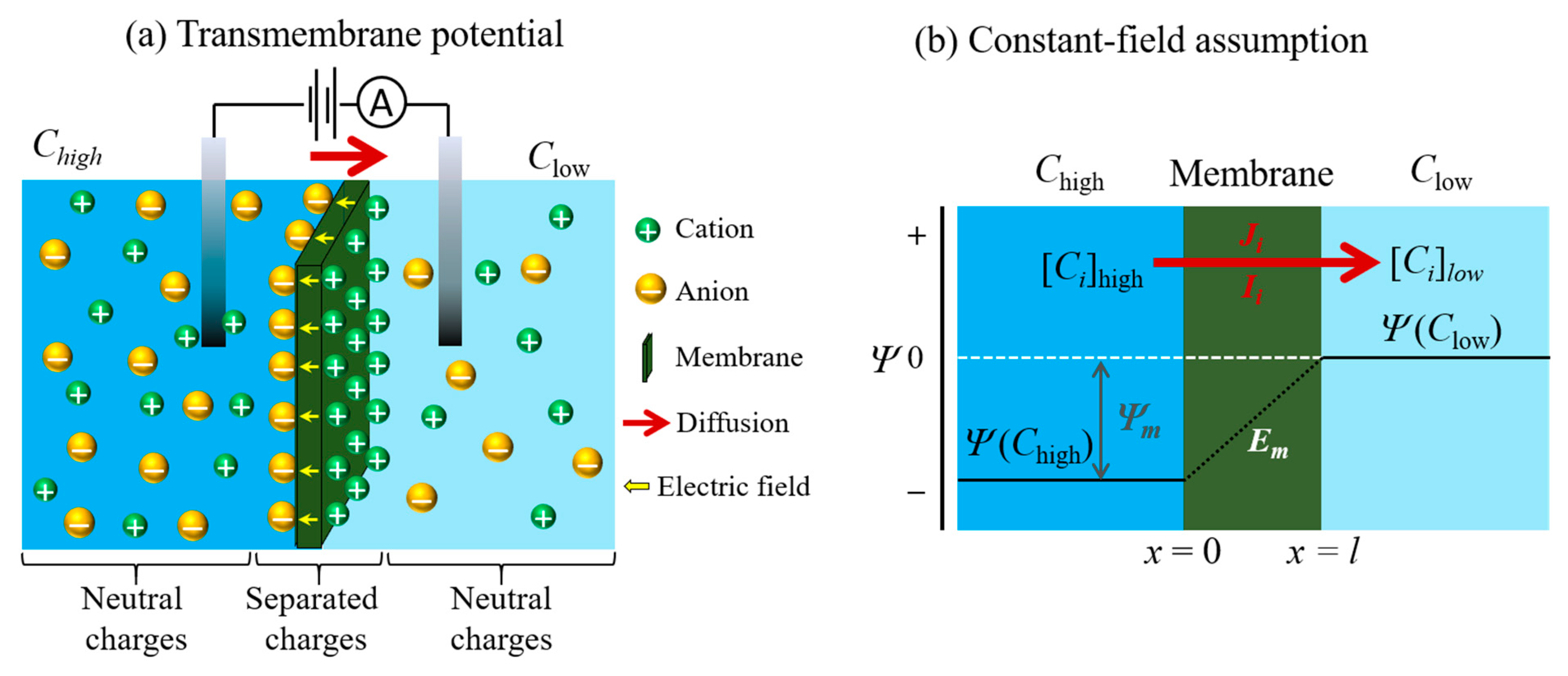 Energies 14 05819 g009