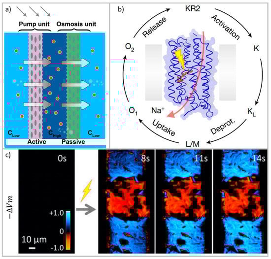 Energies 14 05819 g019 550