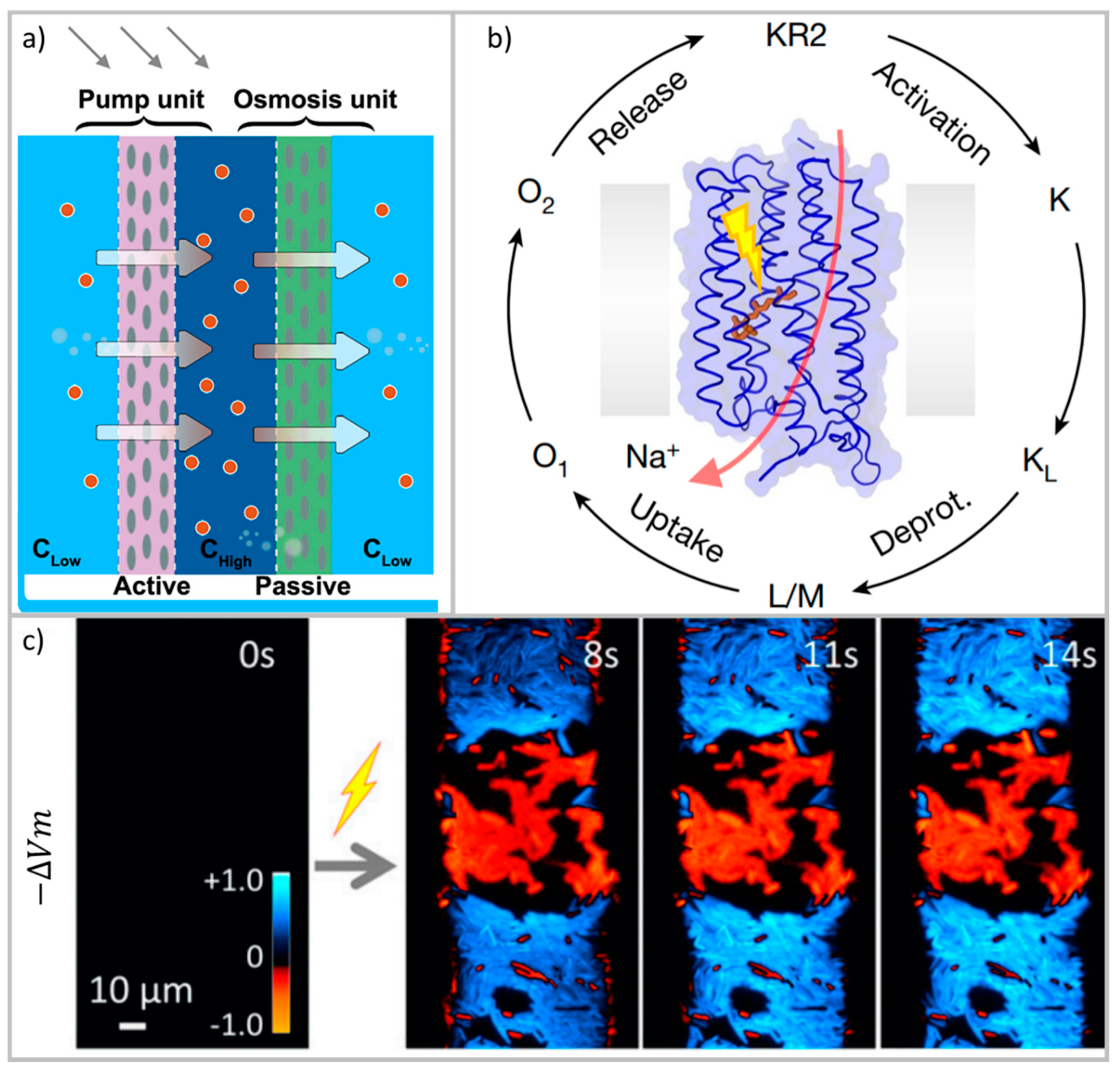 Energies 14 05819 g019