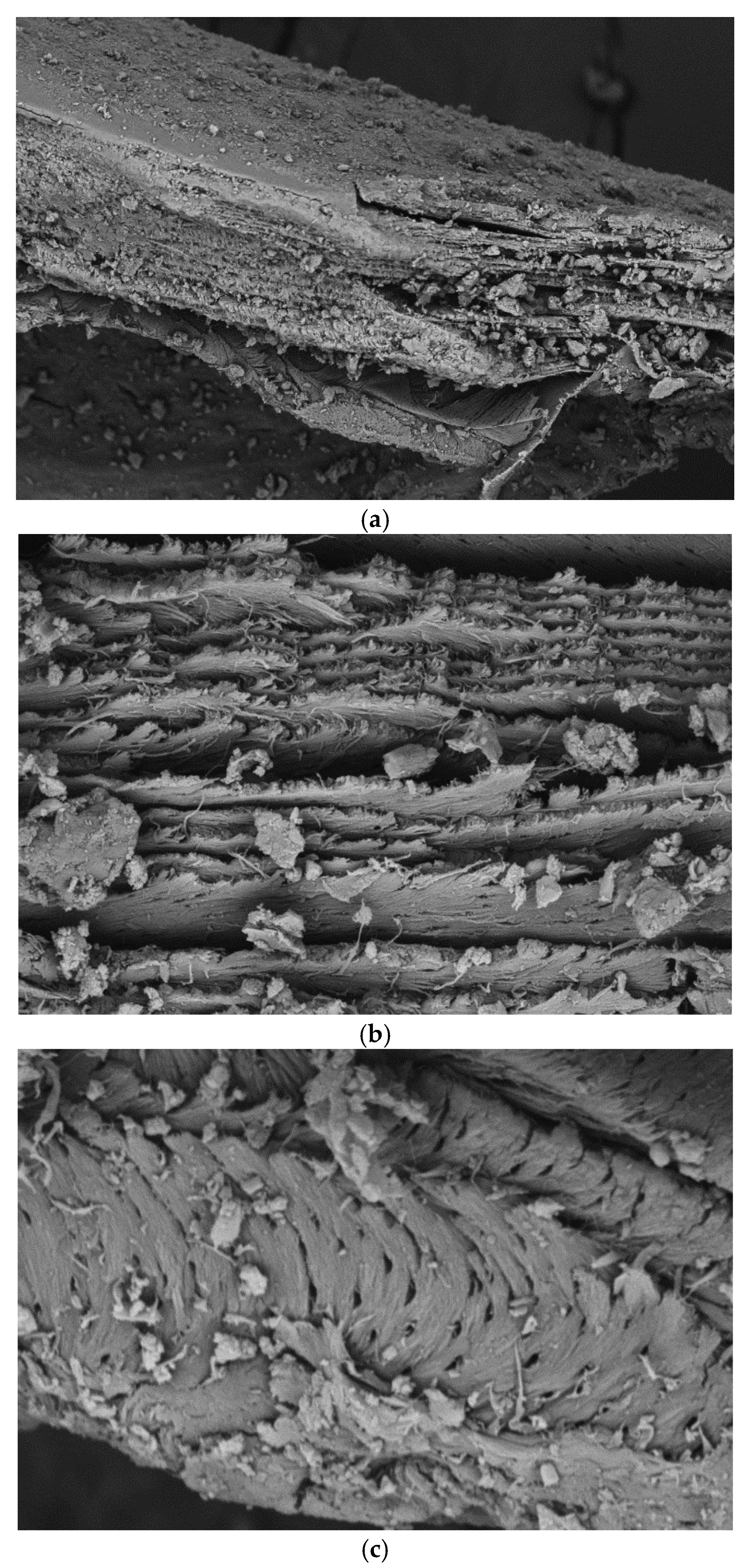 Energies 14 05876 g004 Energies 14 05876 g004