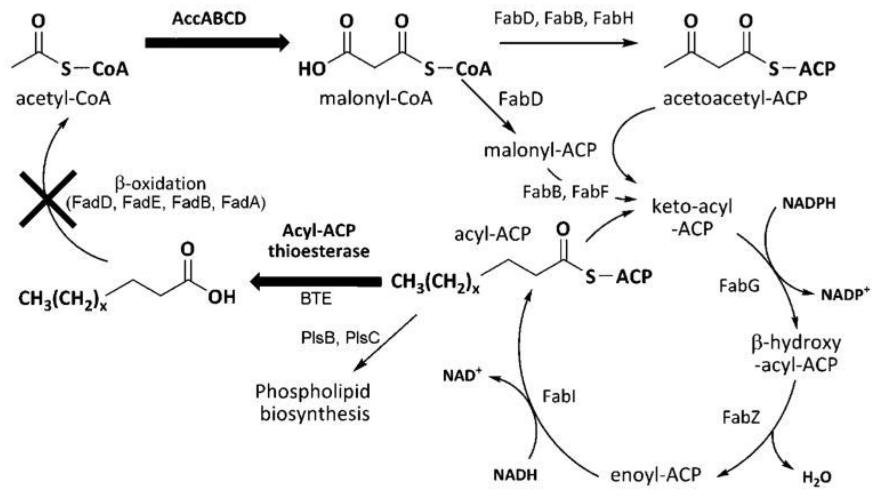 Energies 14 06011 g004