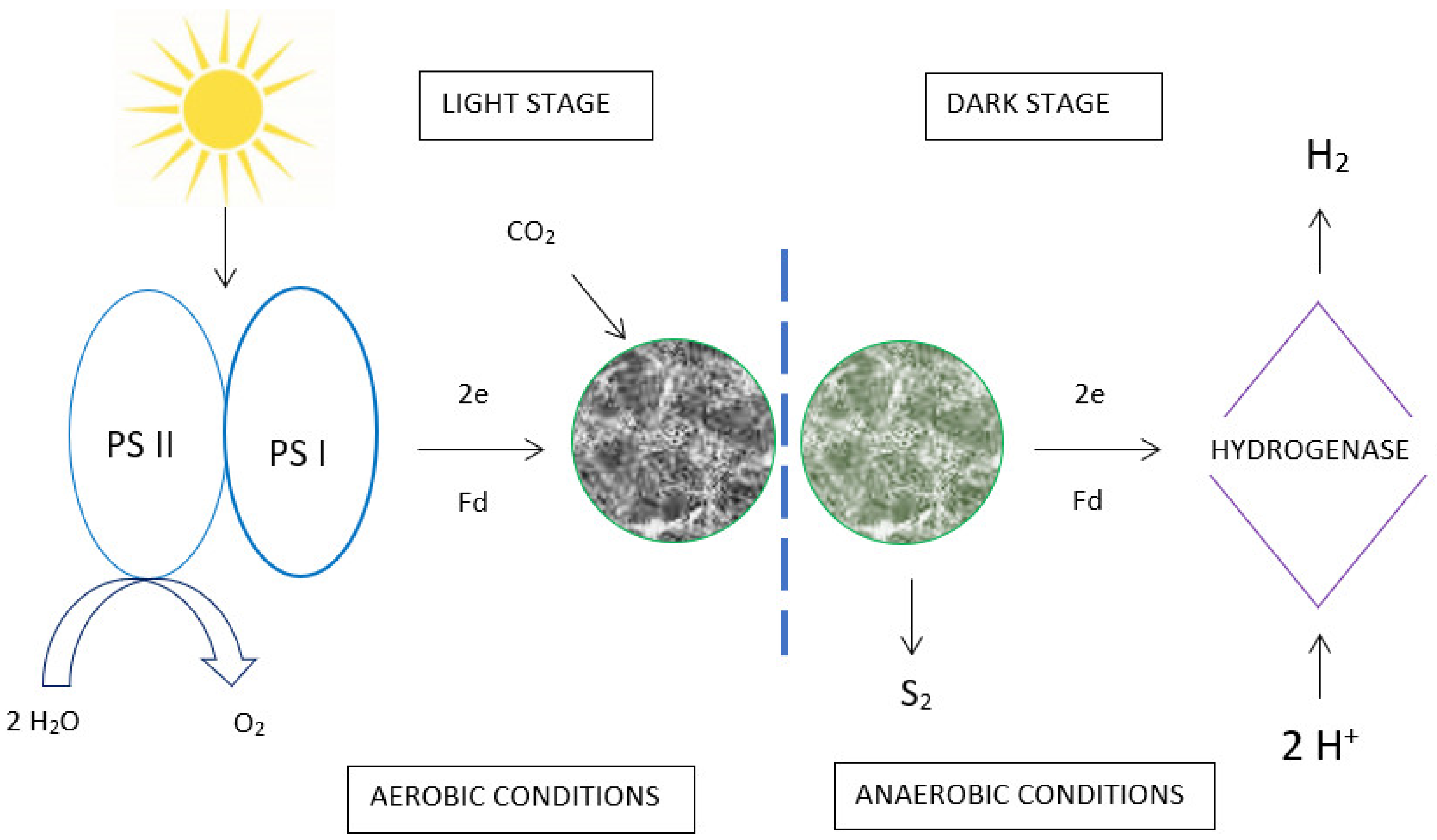 Energies 14 06025 g003
