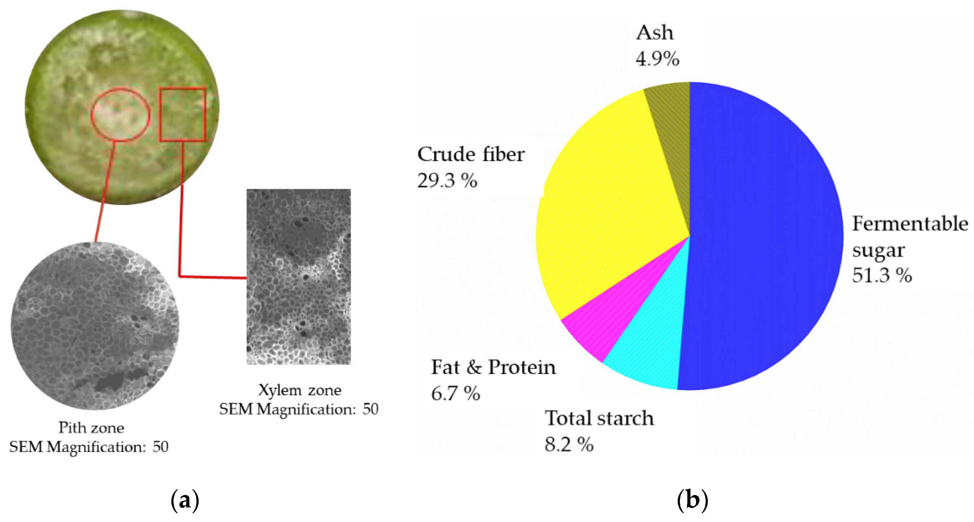 Energies 14 06301 g001