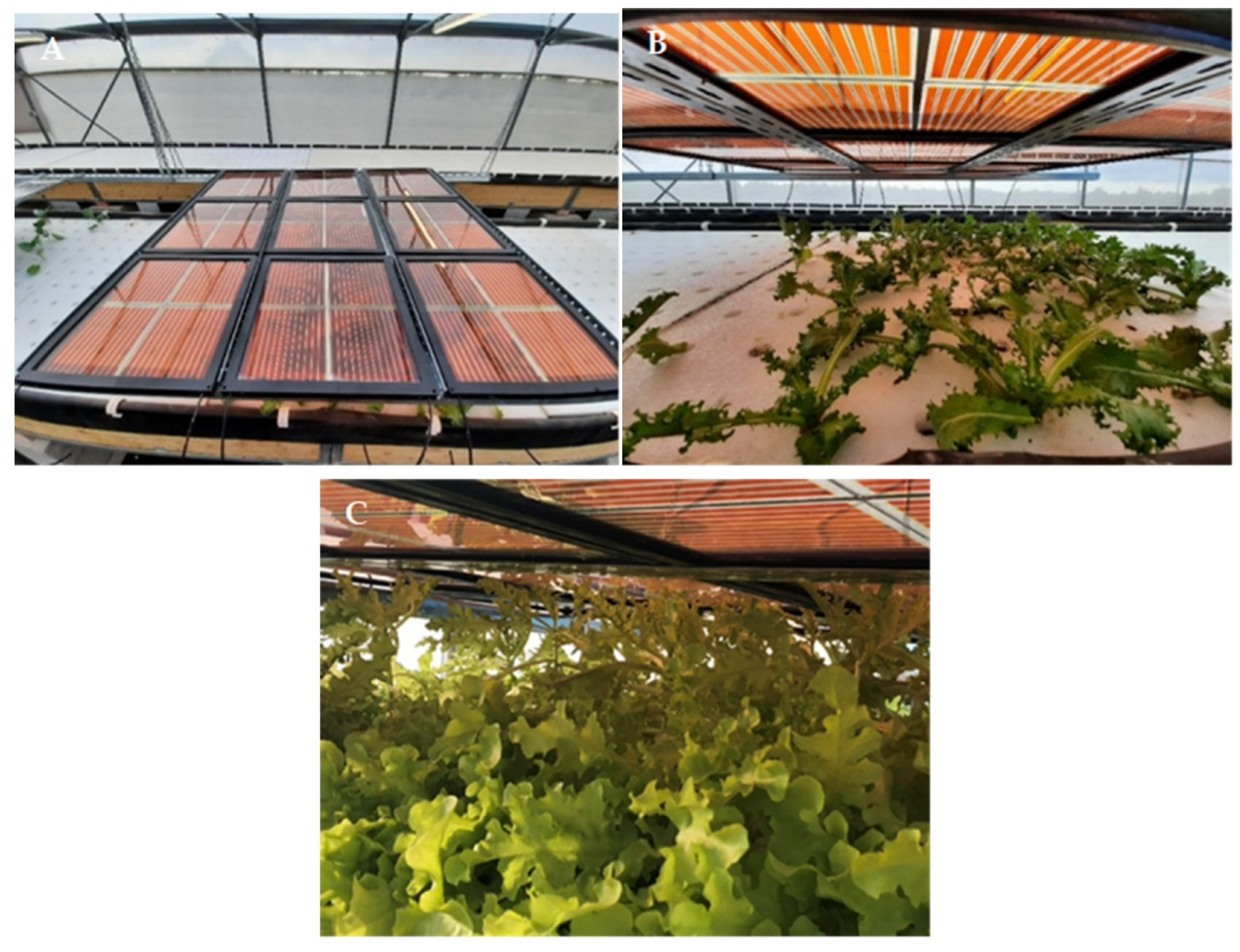 Energies 14 06393 g013