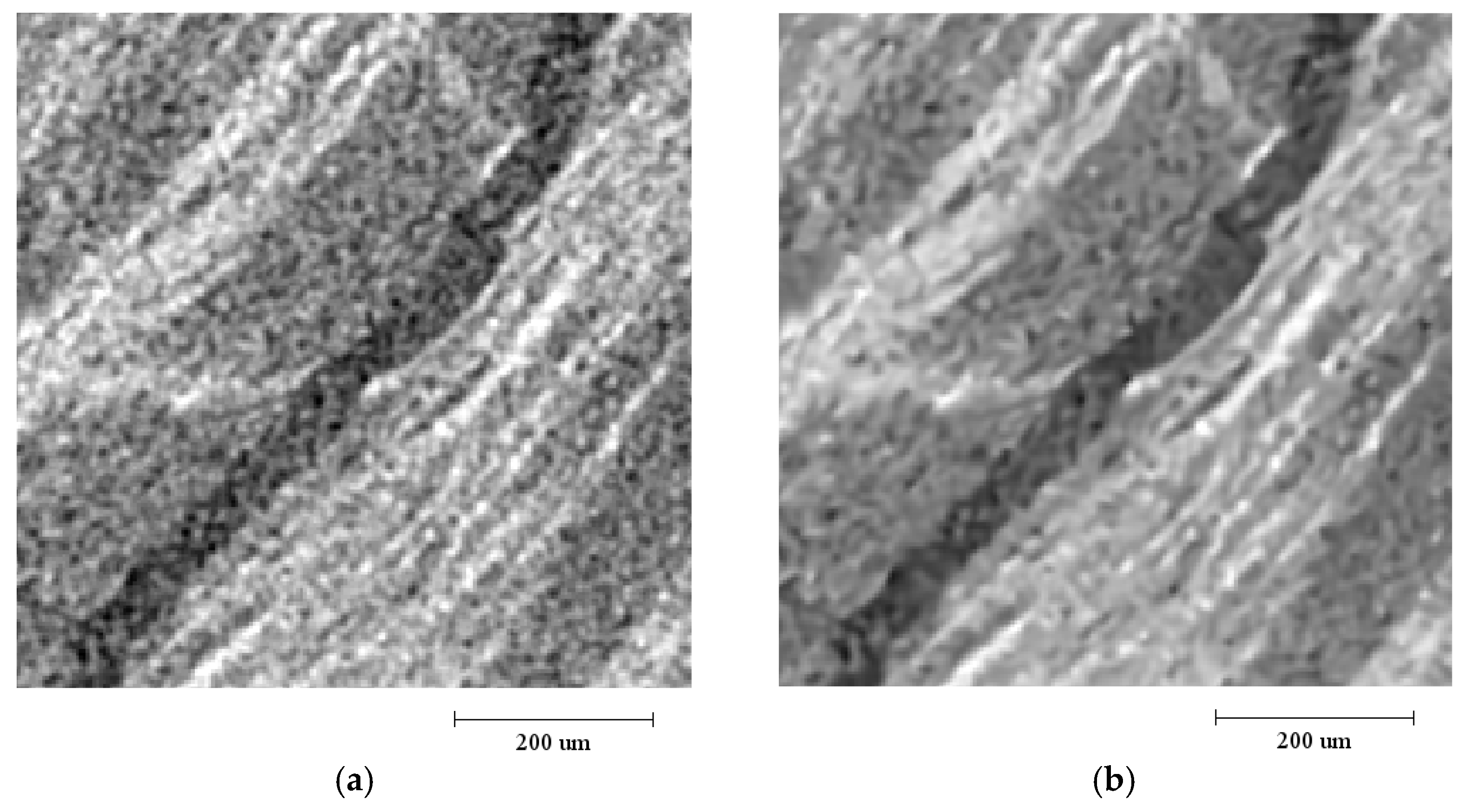 Energies 14 06474 g003