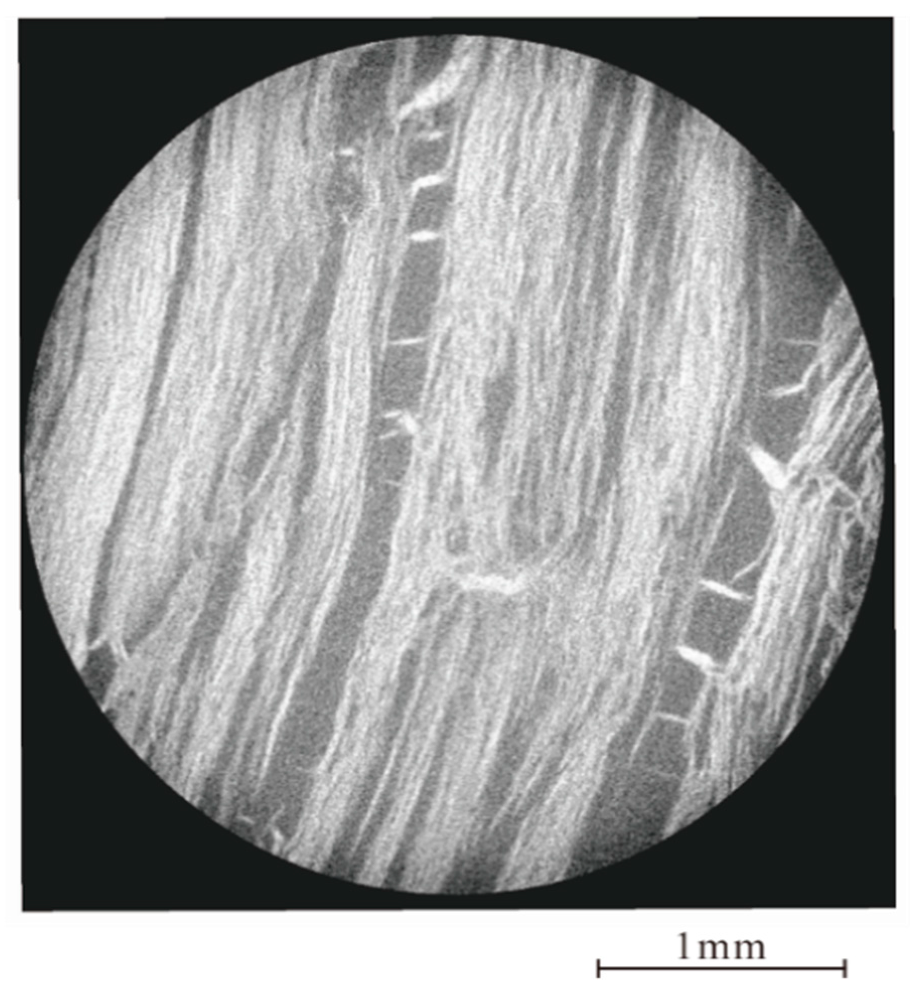 Energies 14 06474 g004