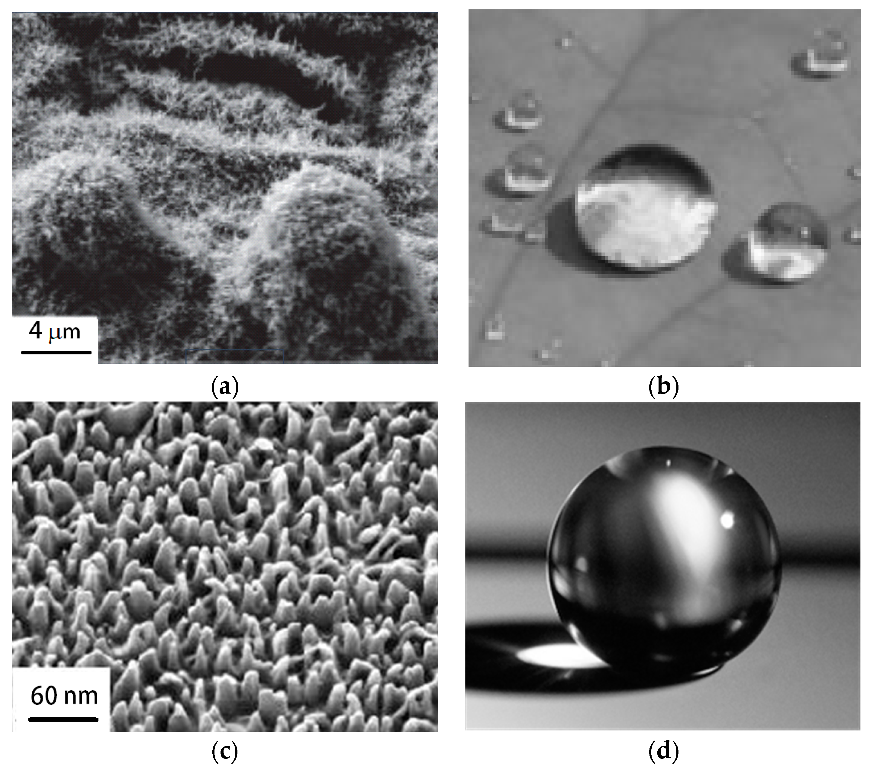 Energies 14 06750 g005