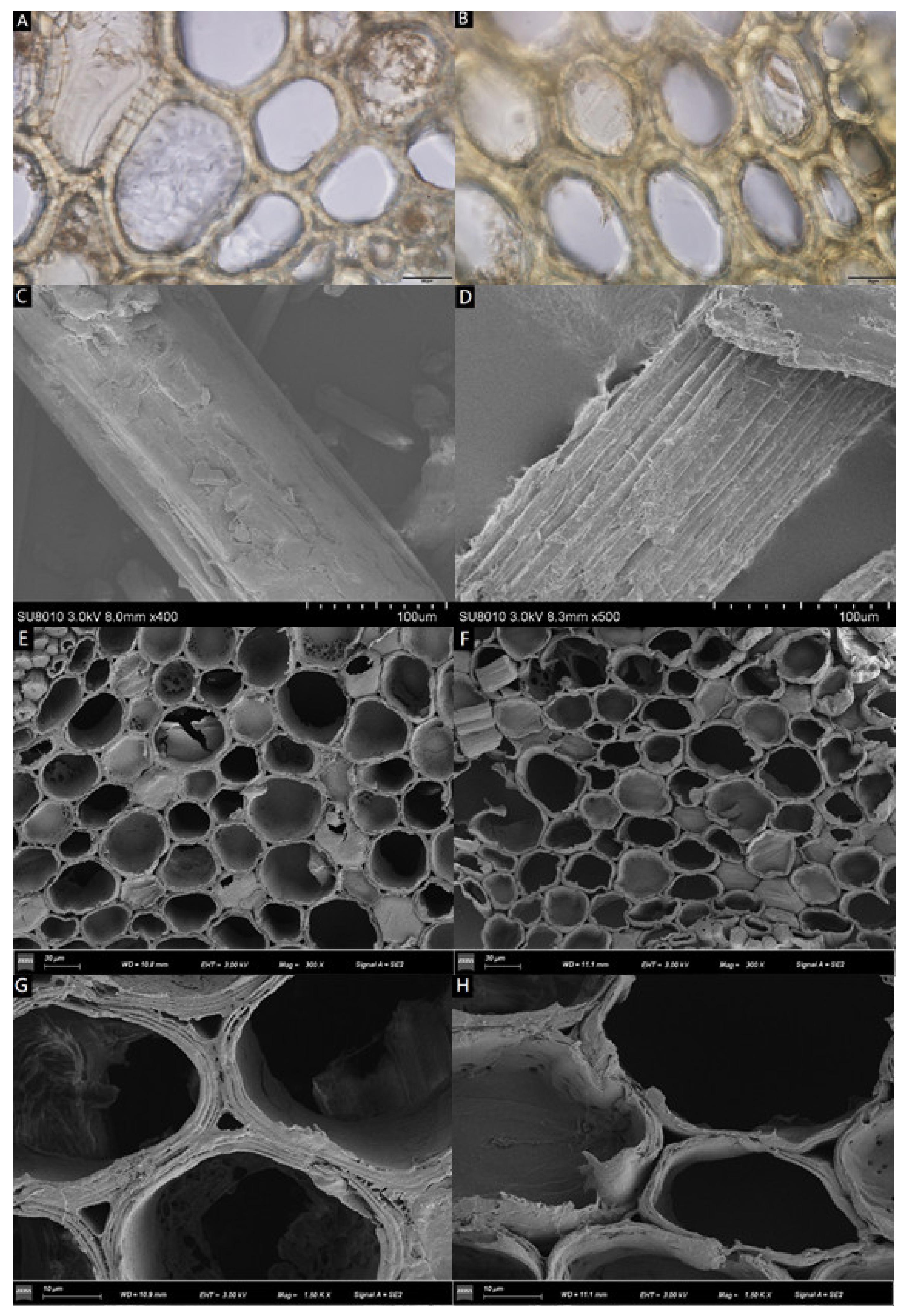 Energies 14 06857 g002