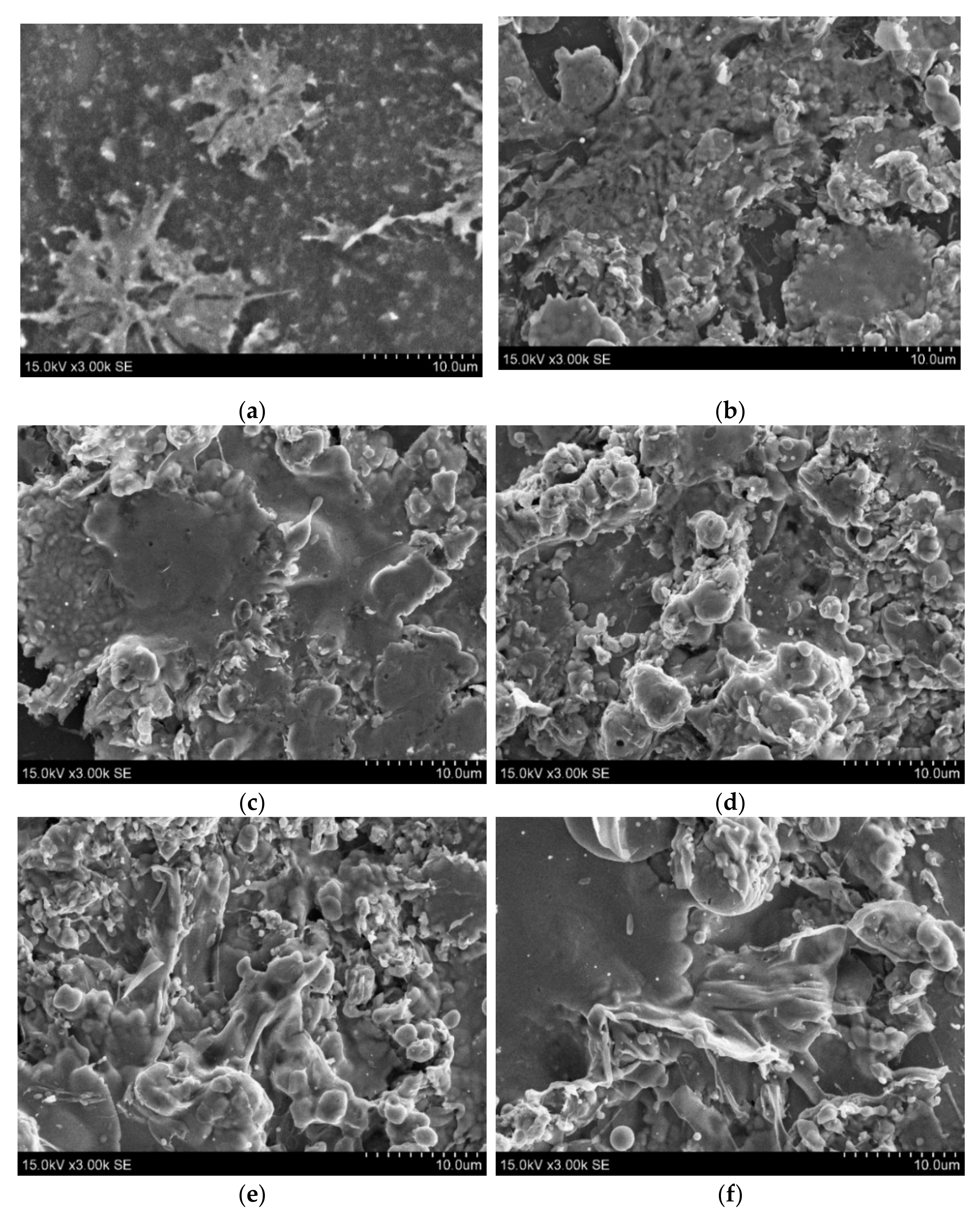 Energies 14 06896 g001