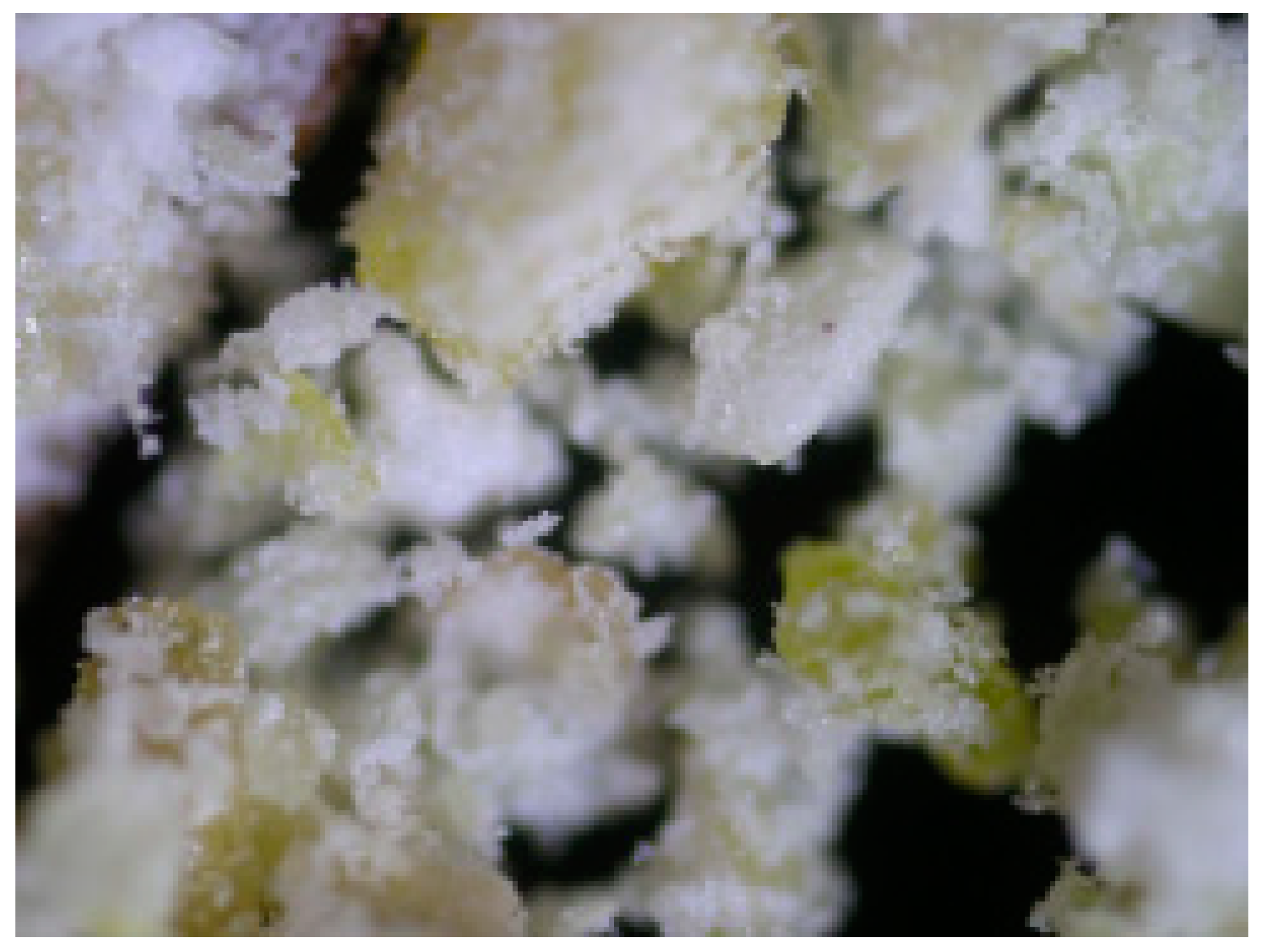 Energies 14 06997 g009