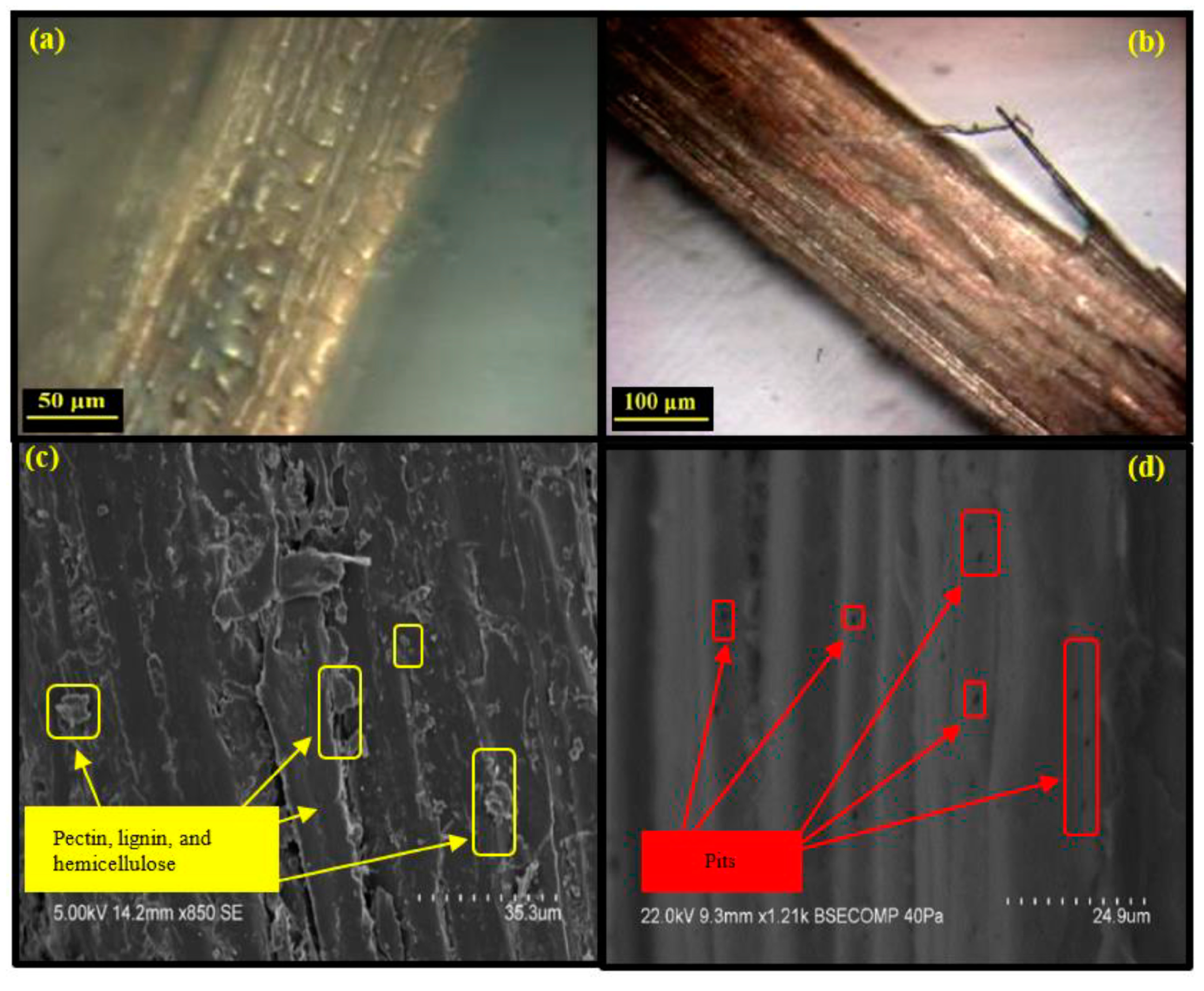 Energies 14 07110 g003