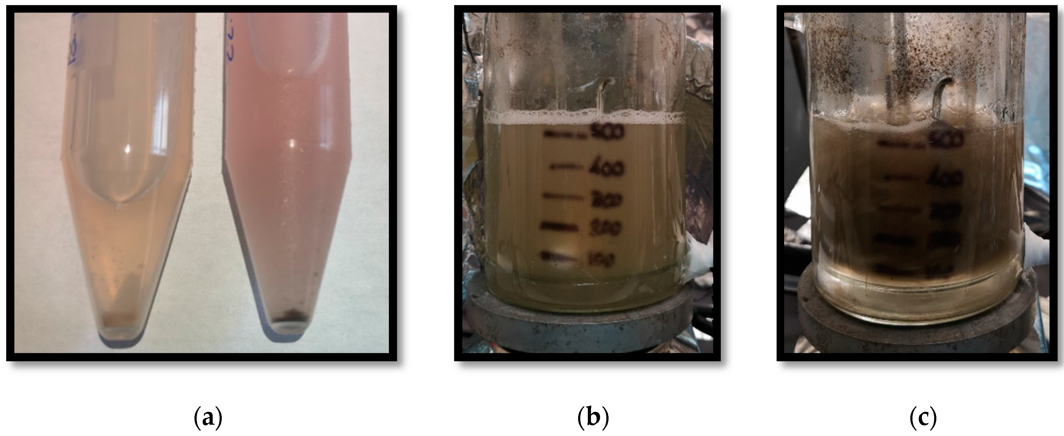 Energies 14 07124 g004