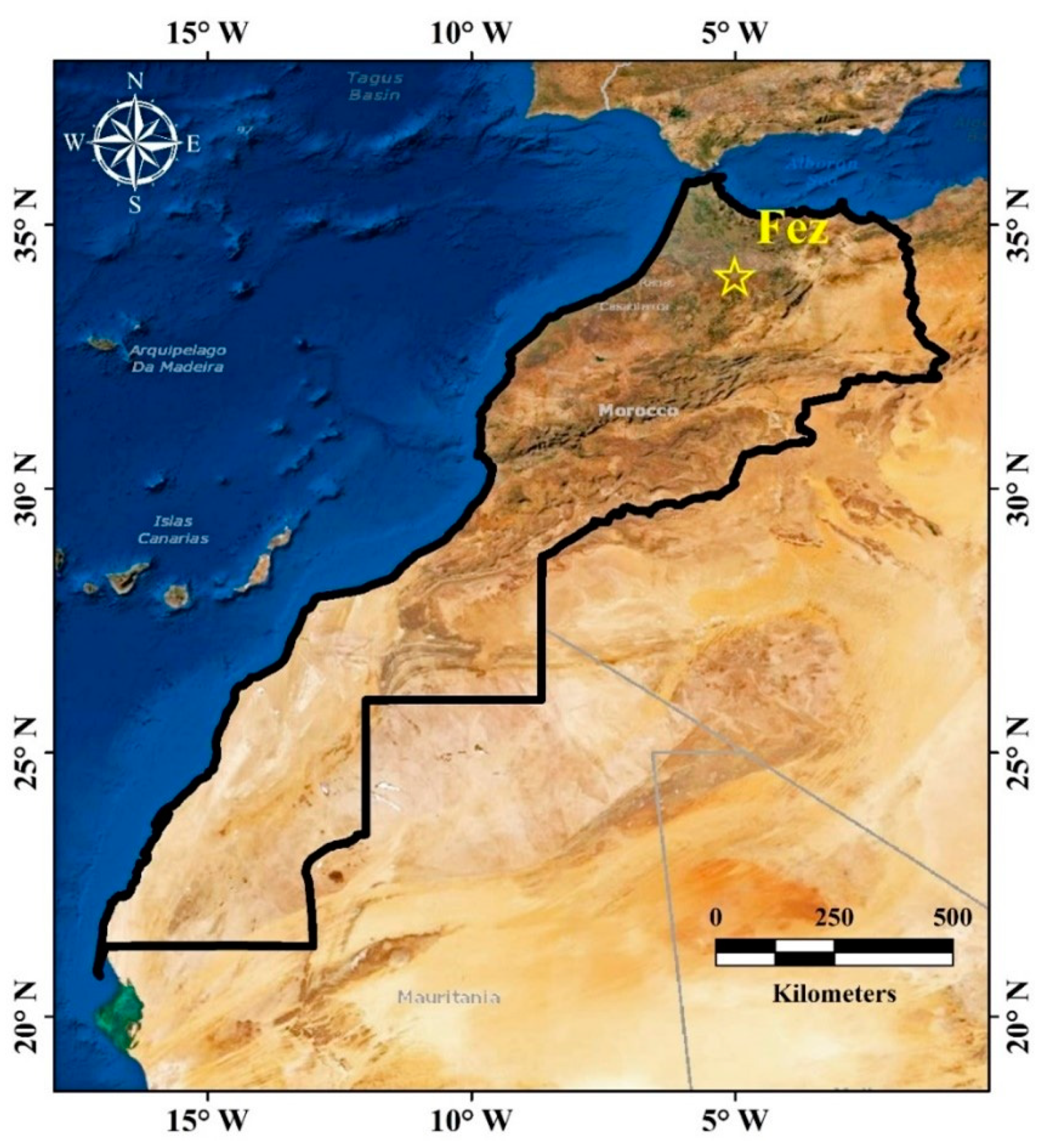 Energies 14 07367 g002