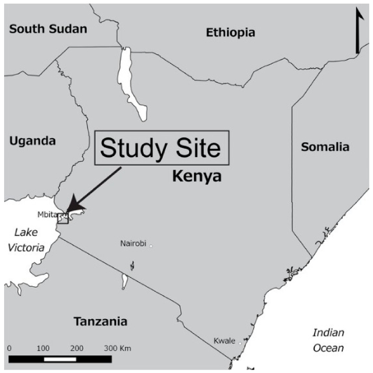 Energies 14 07956 g003