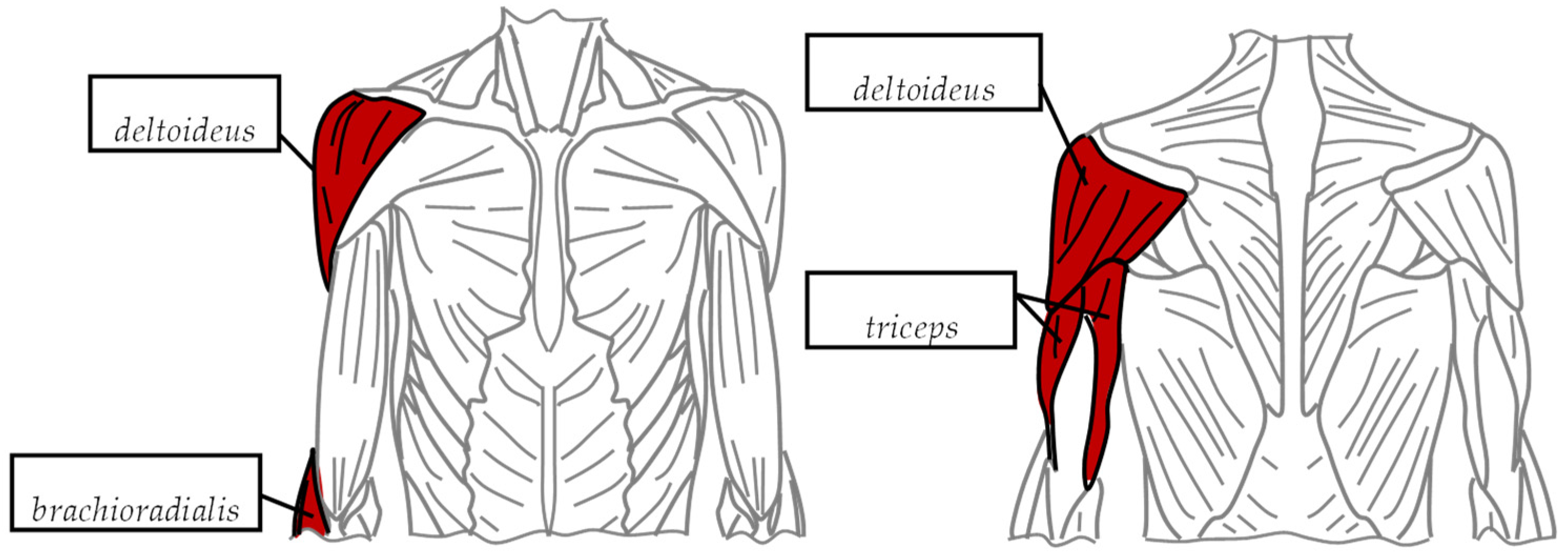 Energies 14 08137 g008 Energies 14 08137 g008