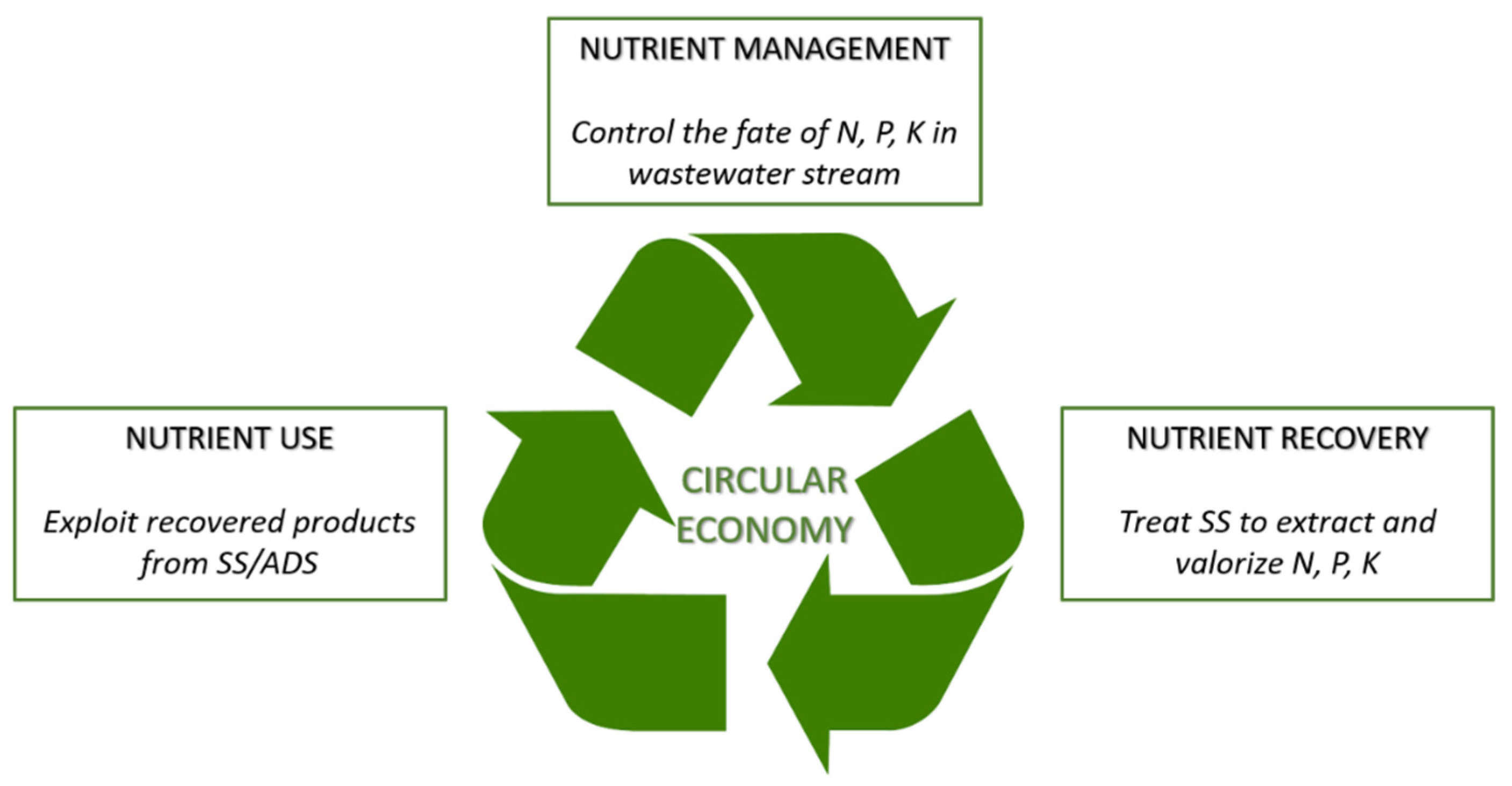 Energies 14 08149 g001