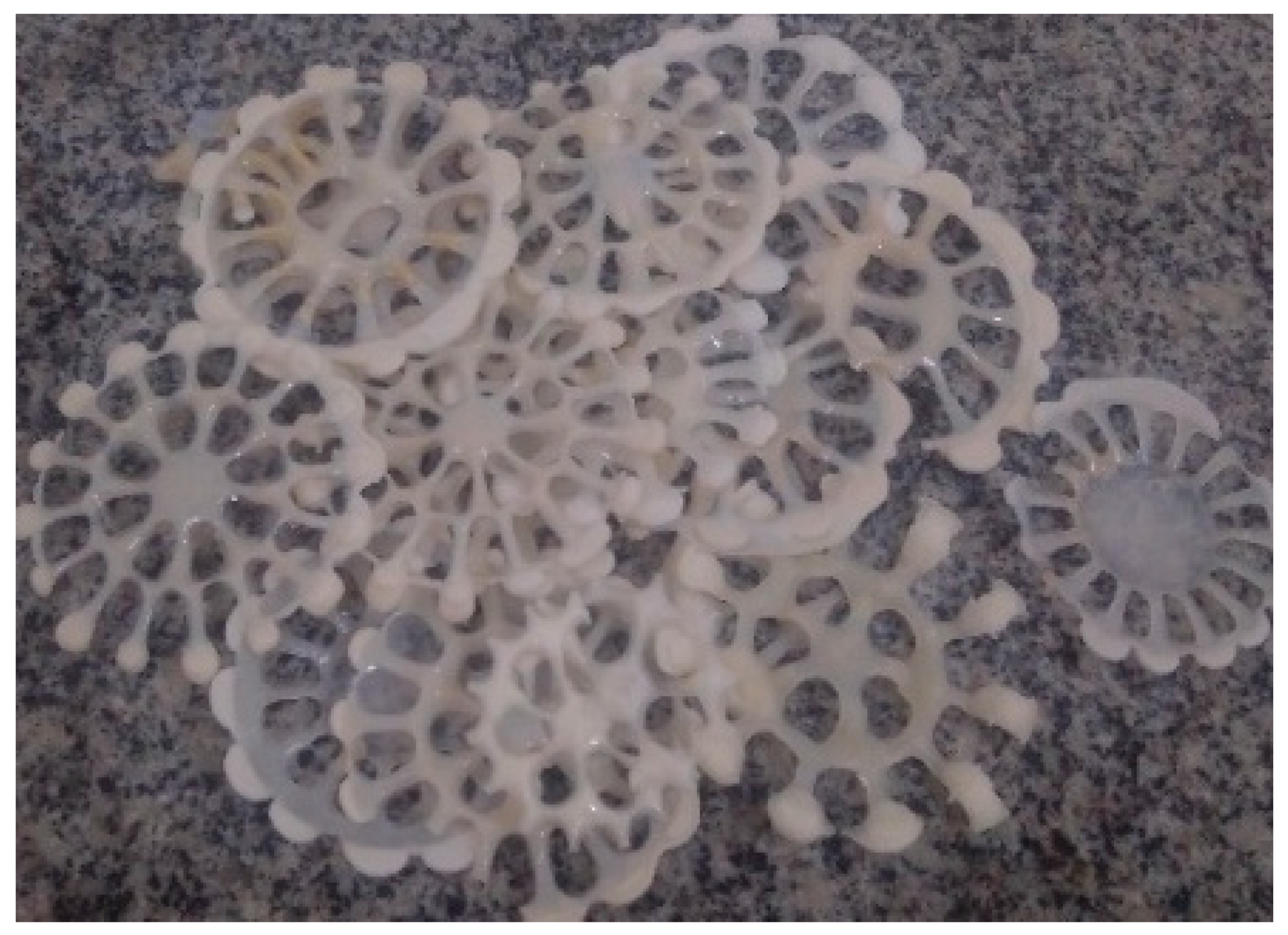 Energies 15 00091 g002