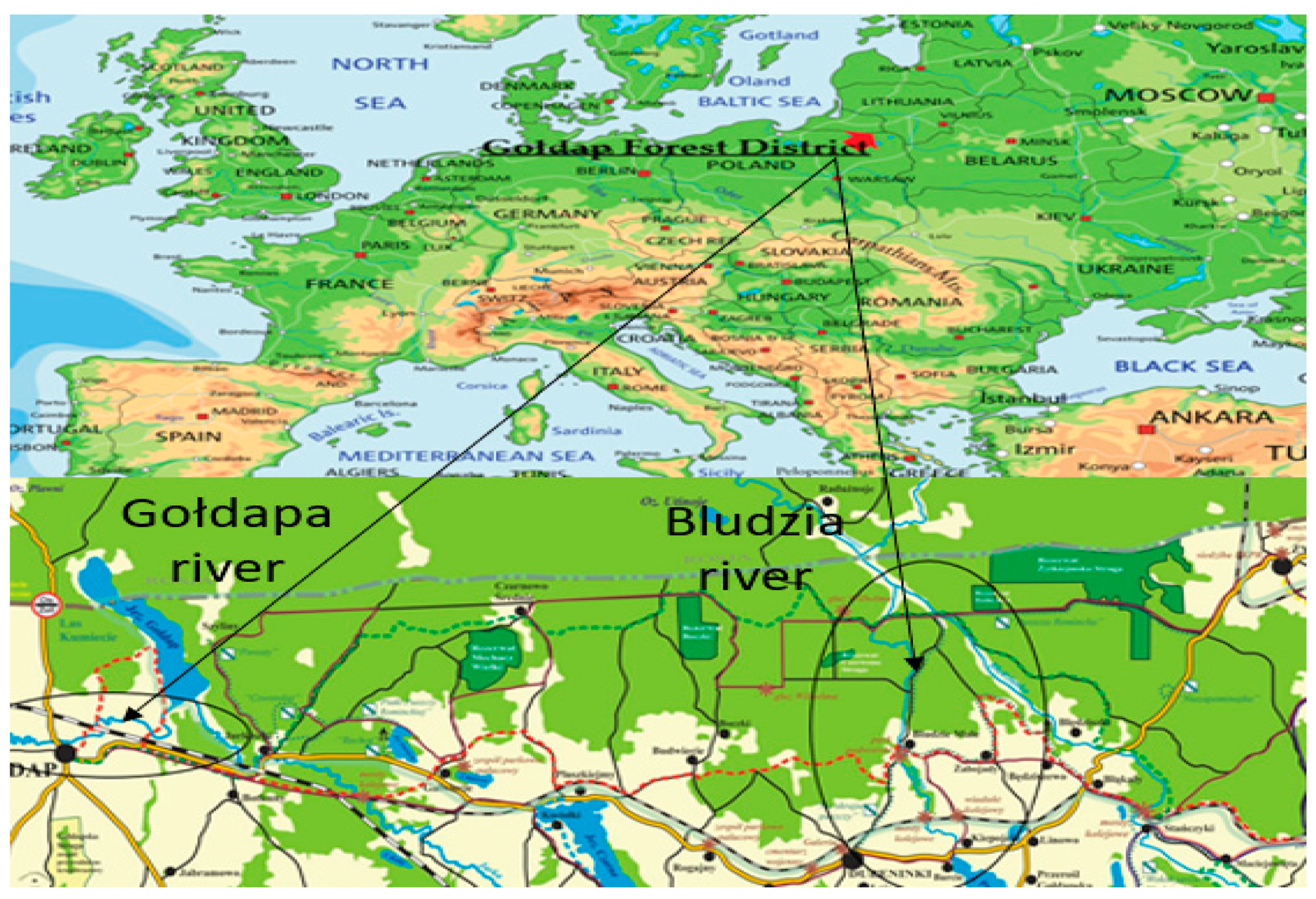 Energies 15 00164 g001