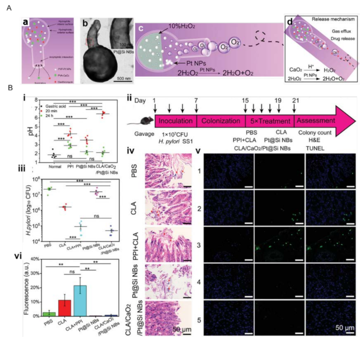Energies 15 00426 g003