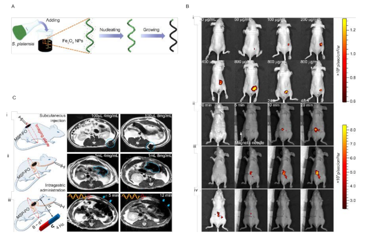 Energies 15 00426 g005