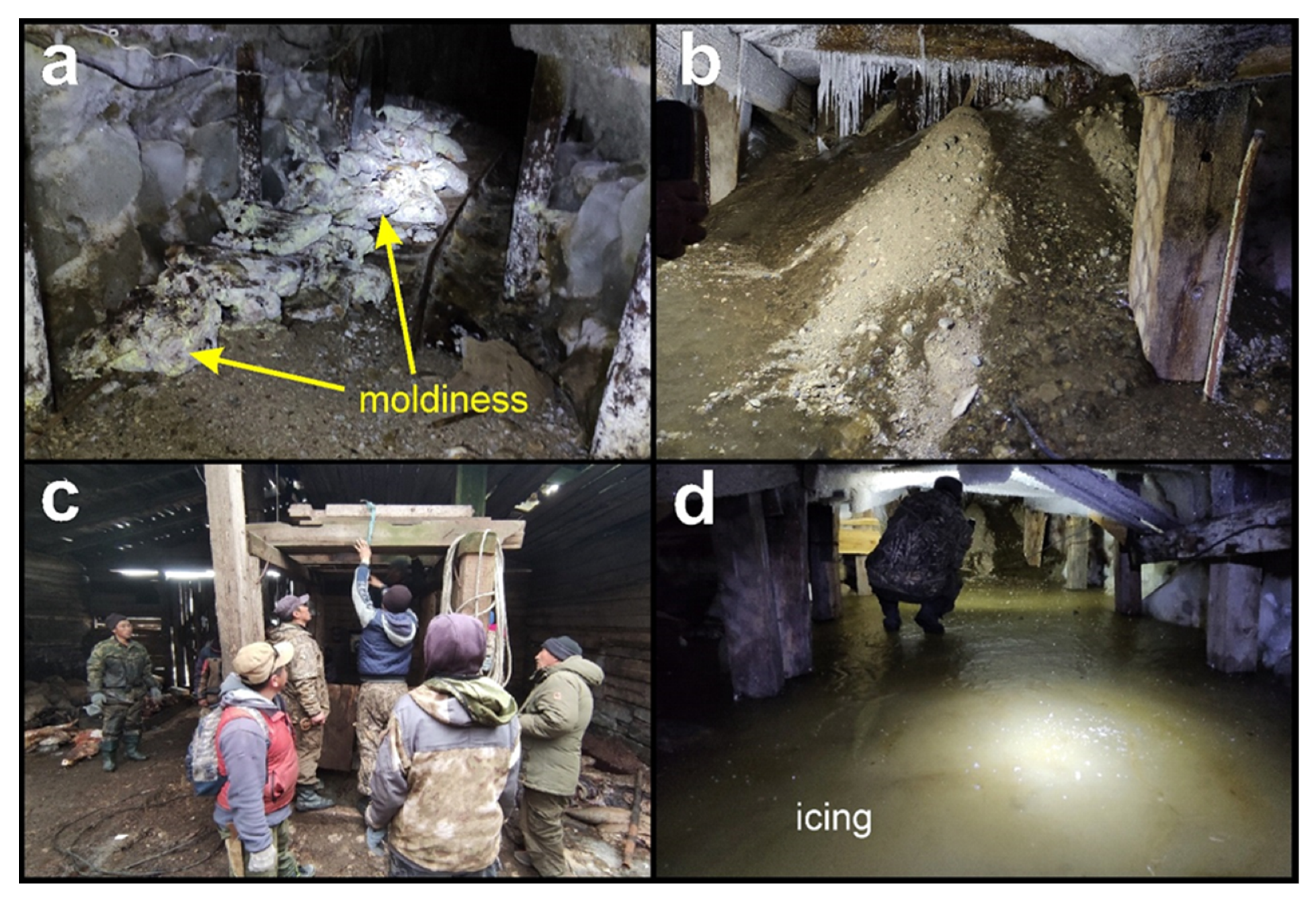 Energies 15 00972 g005