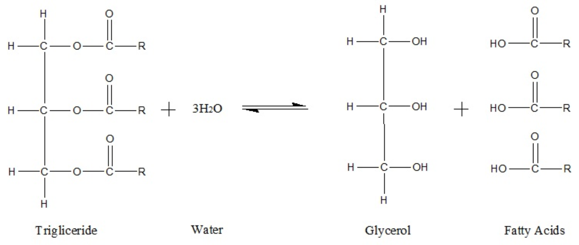 Energies 15 01520 g006