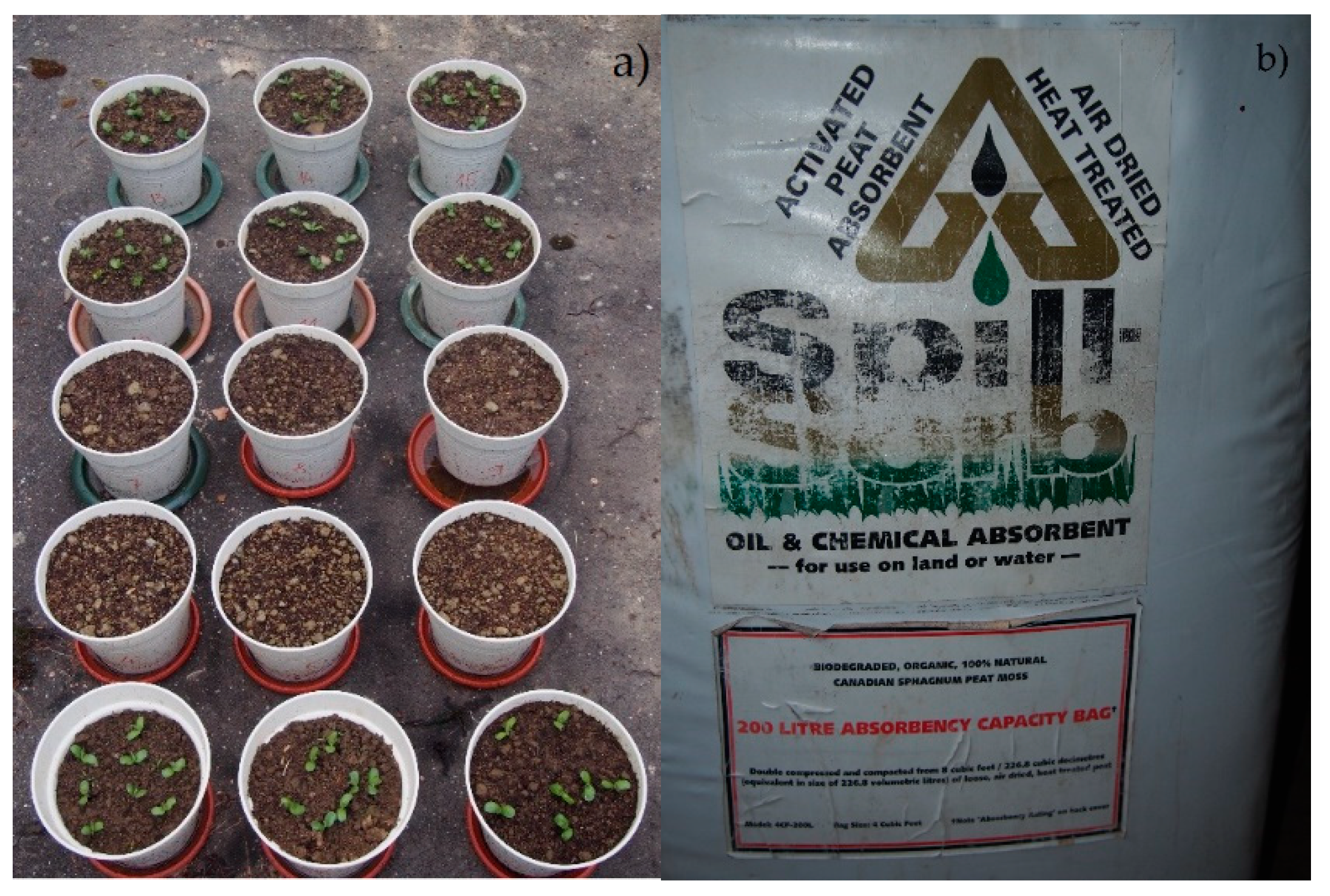 Energies 15 01561 g002