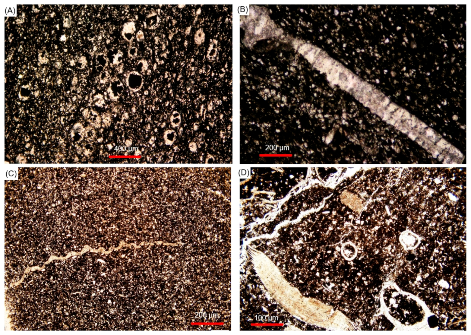 Energies 15 01618 g006