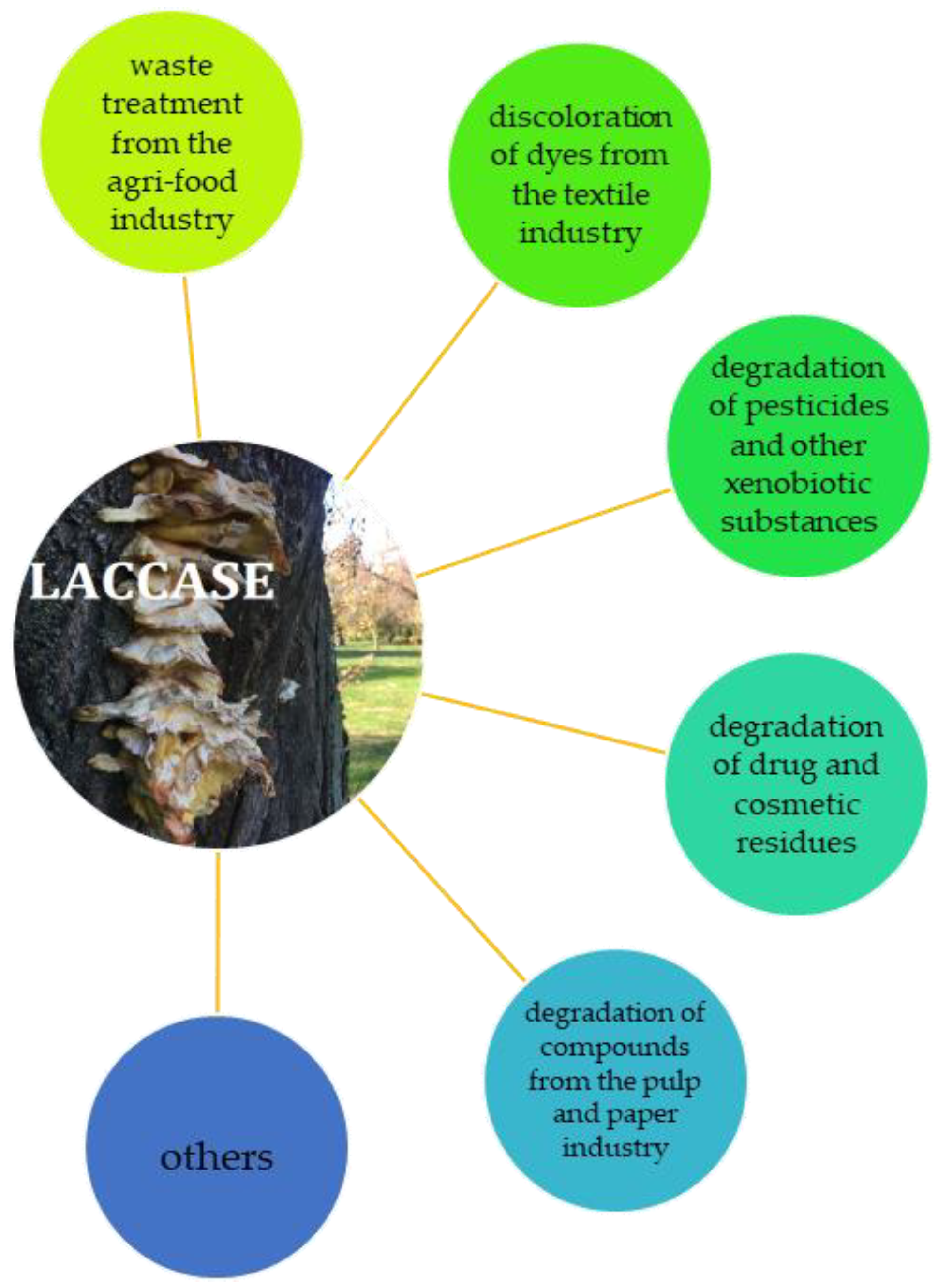 Energies 15 01835 g001