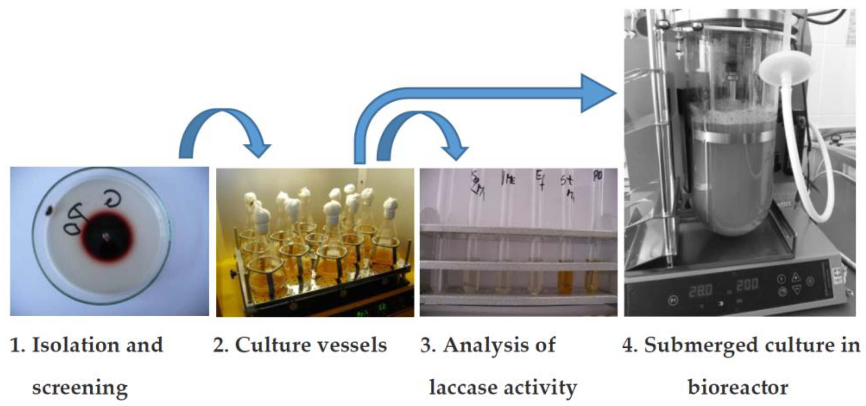 Energies 15 01835 g005