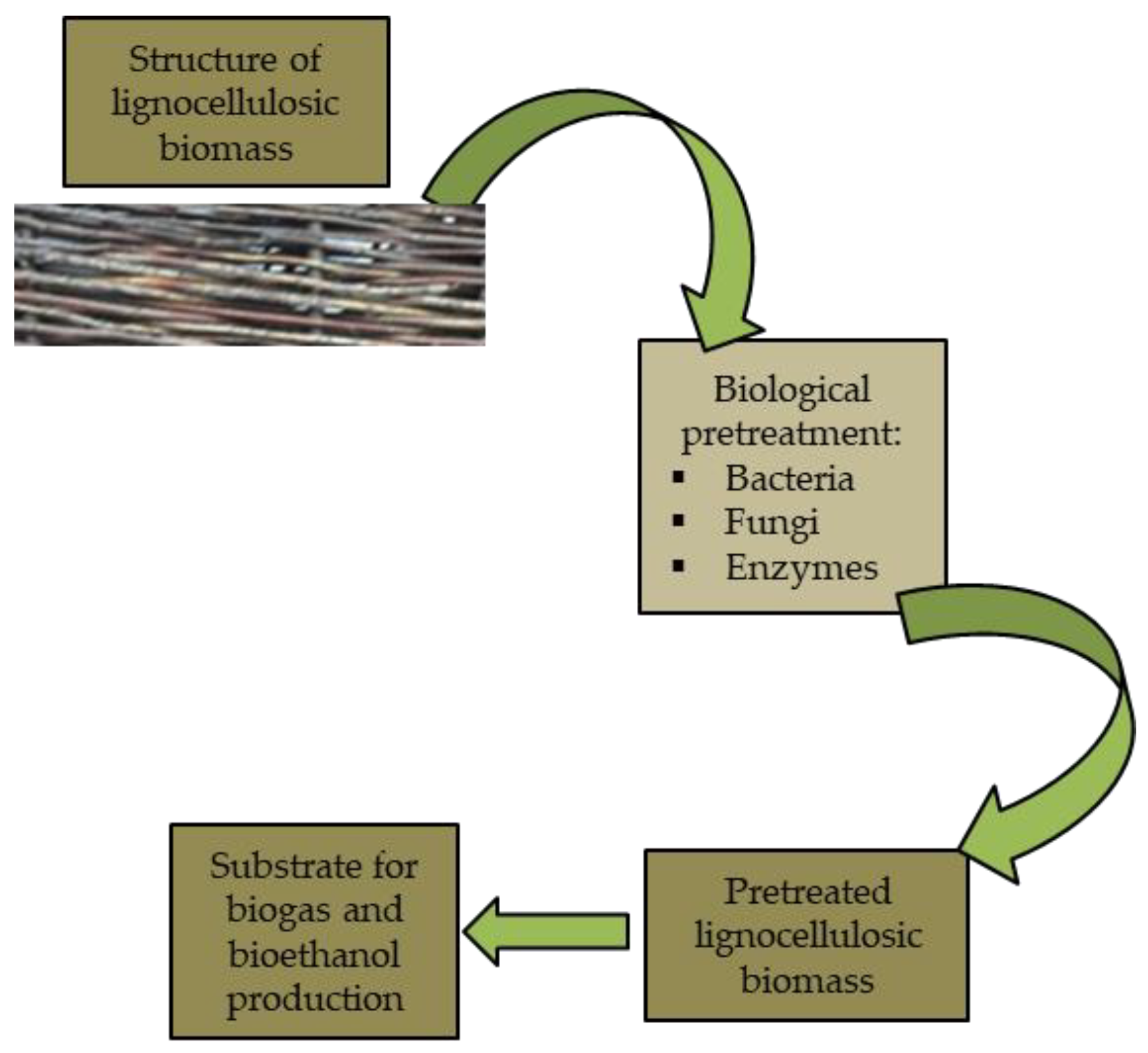 Energies 15 01835 g007