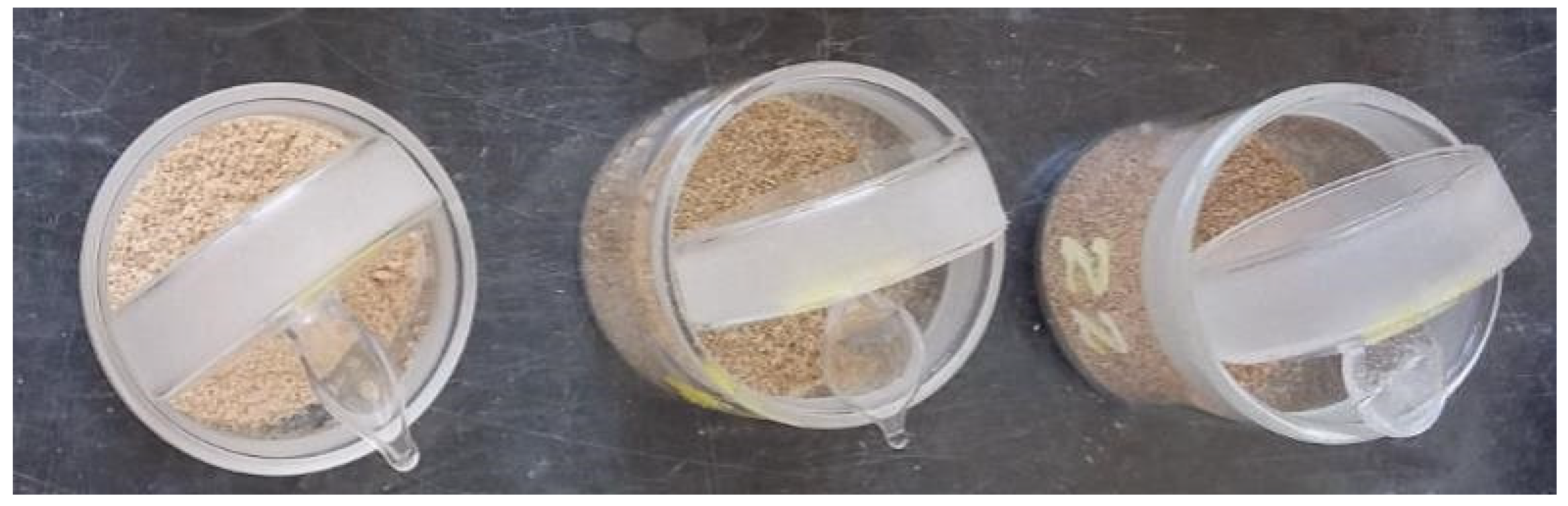 Energies 15 01897 g002 Energies 15 01897 g002