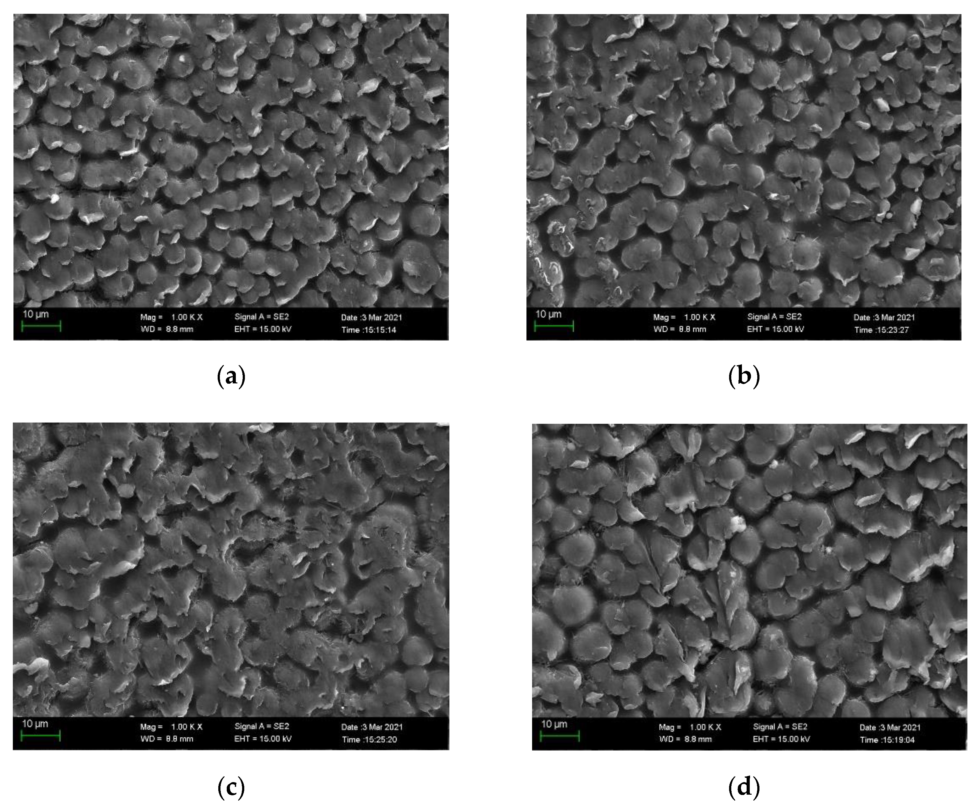 Energies 15 02360 g001