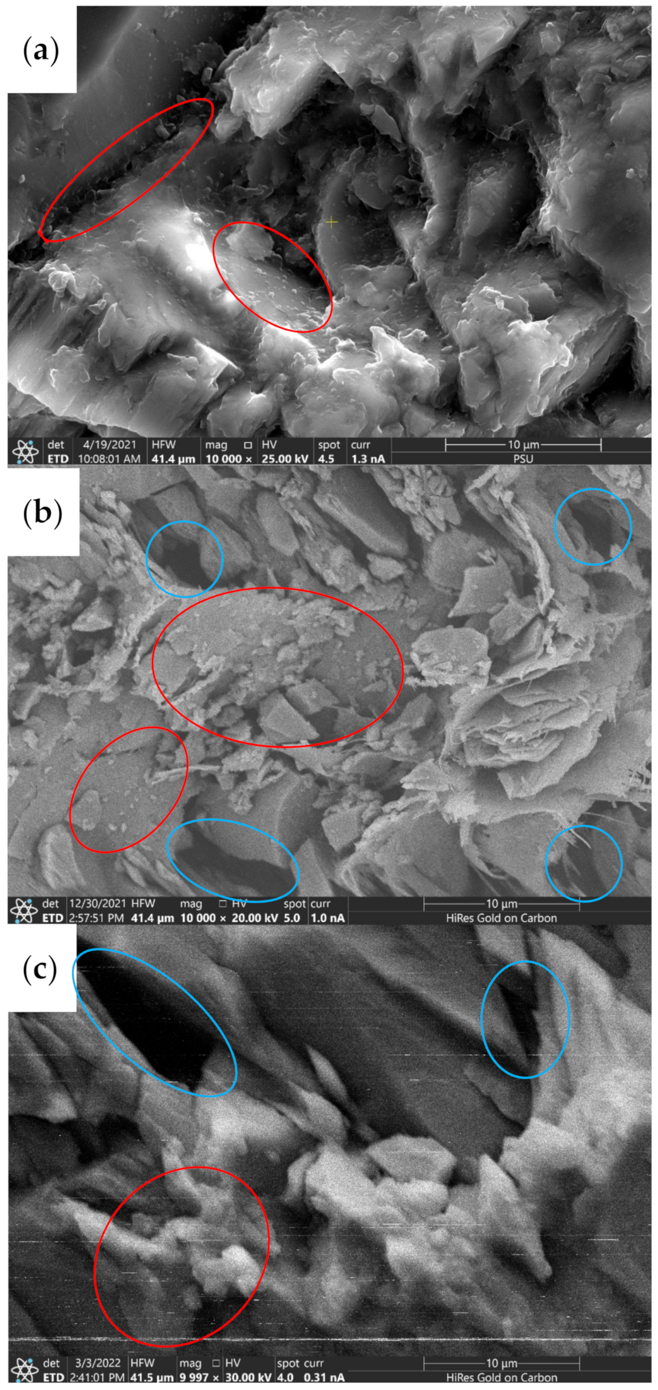 Energies 15 02845 g001